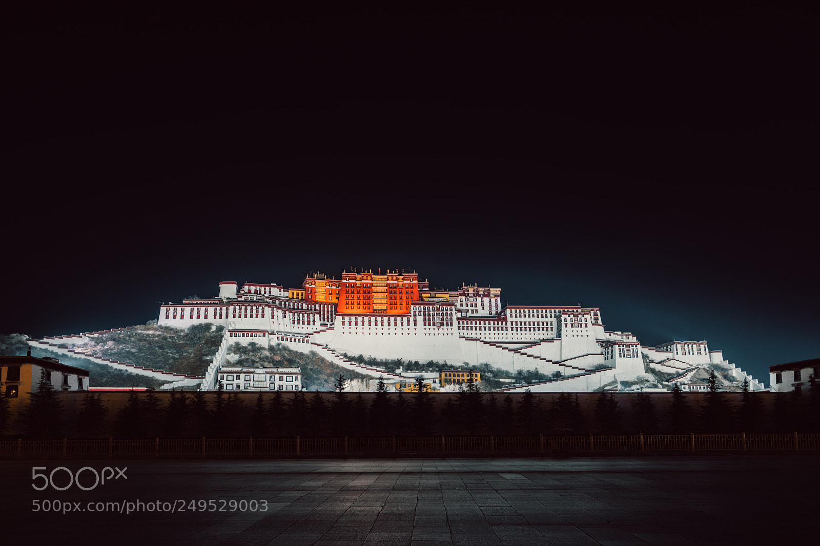 Sony a7R III sample photo. Potala palace photography