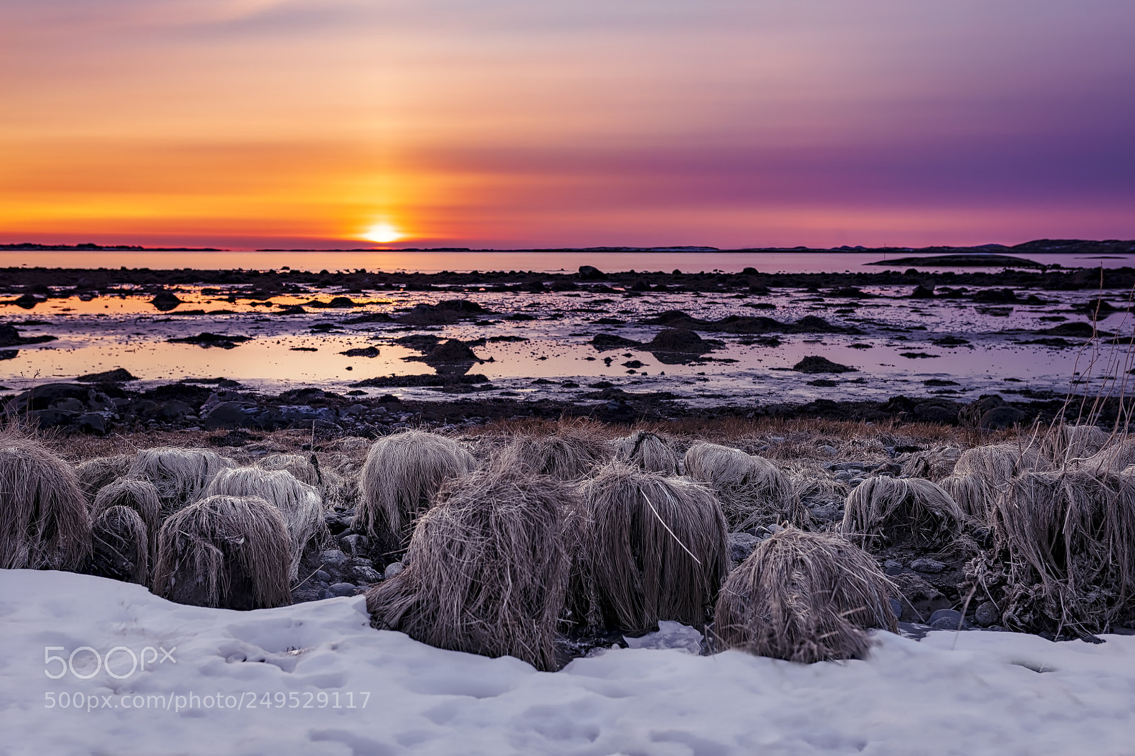 Canon EOS 5DS R sample photo. Sunset over trump s photography