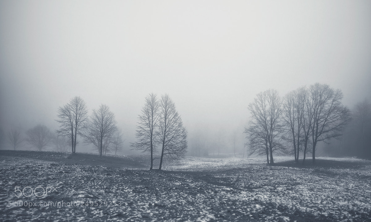 Nikon D800 sample photo. Winter mood ... photography