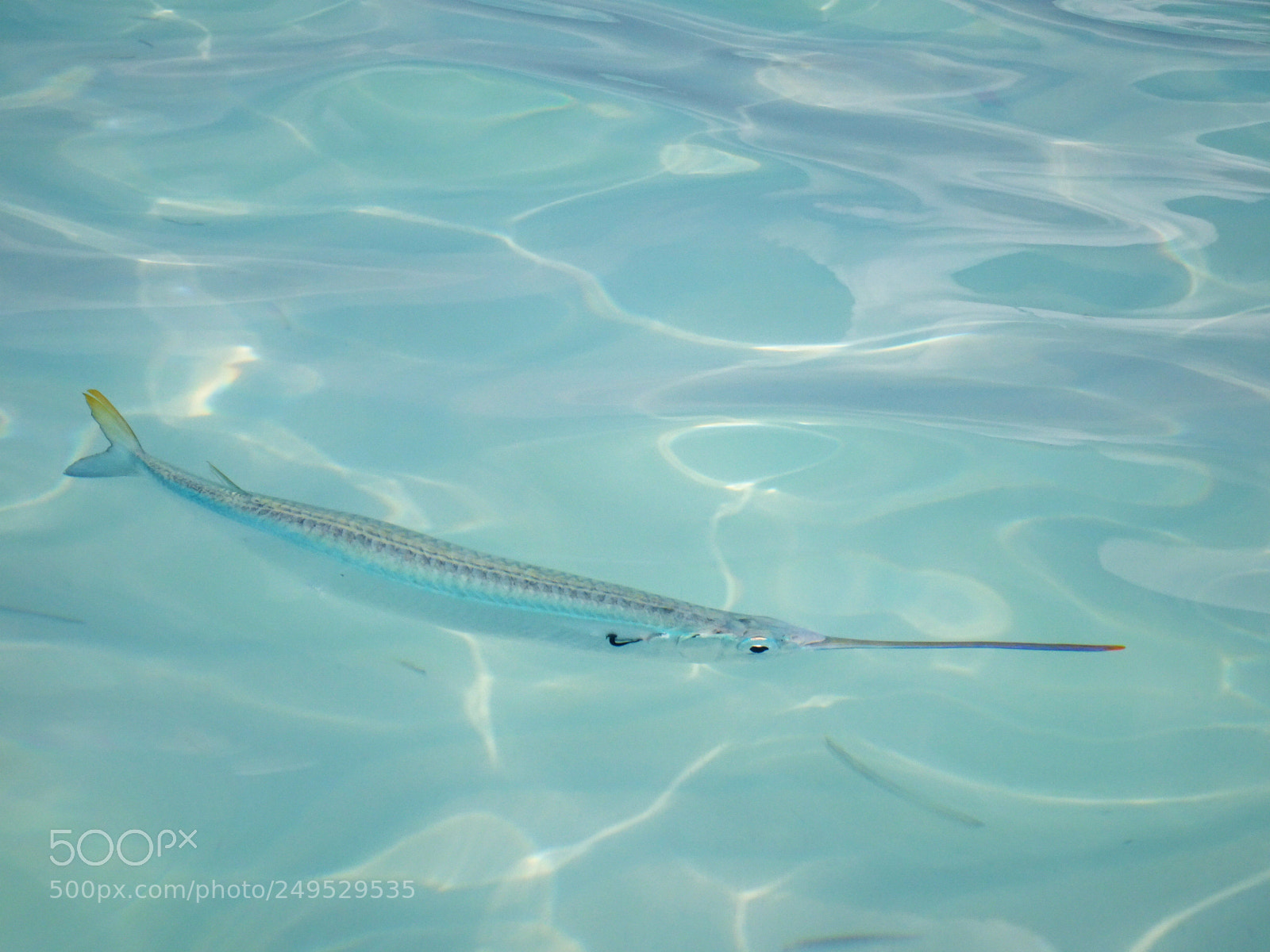 Sony DSC-HX90 sample photo. Gone fishing photography