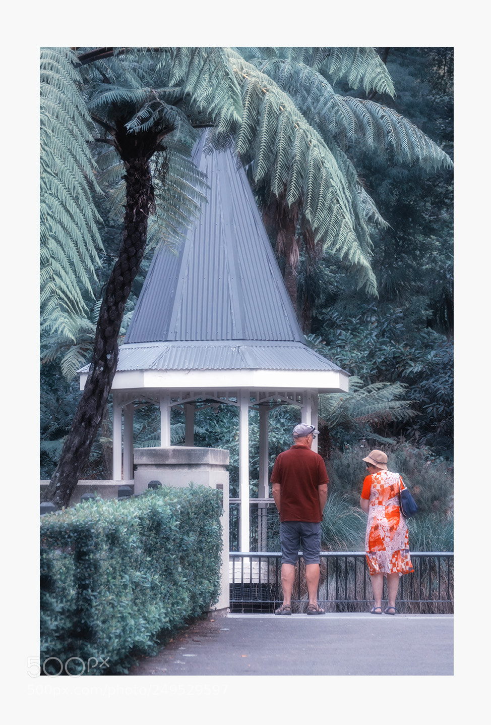 Sony Cyber-shot DSC-RX10 III sample photo. In botanic garden photography