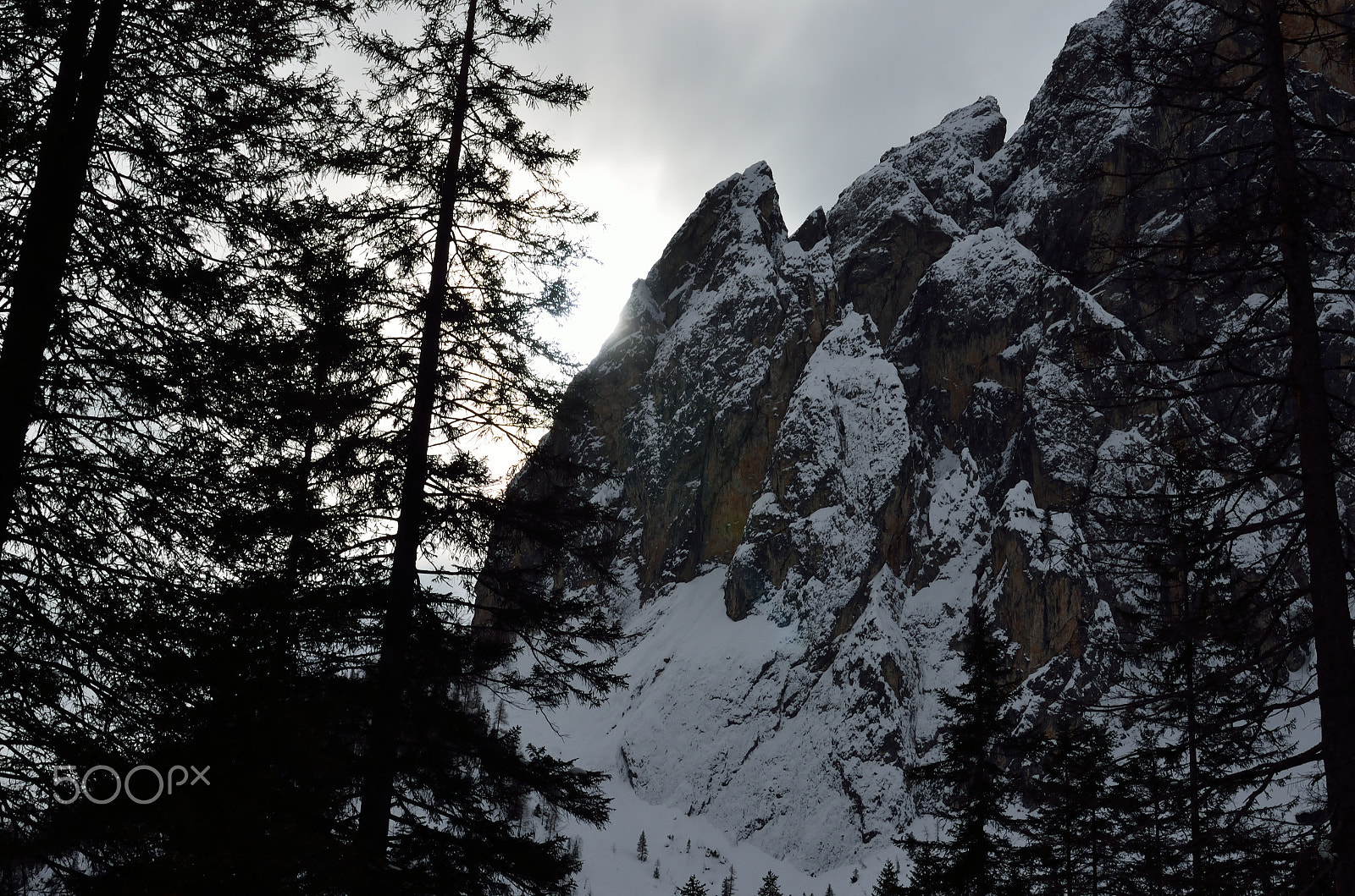 Nikon D5100 sample photo. Forest light photography