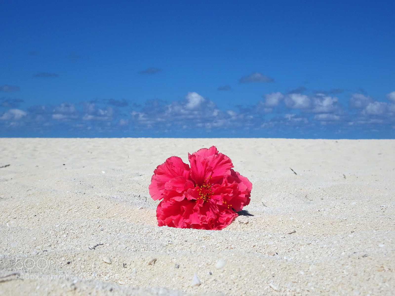 Sony DSC-HX90 sample photo. Simplicity photography