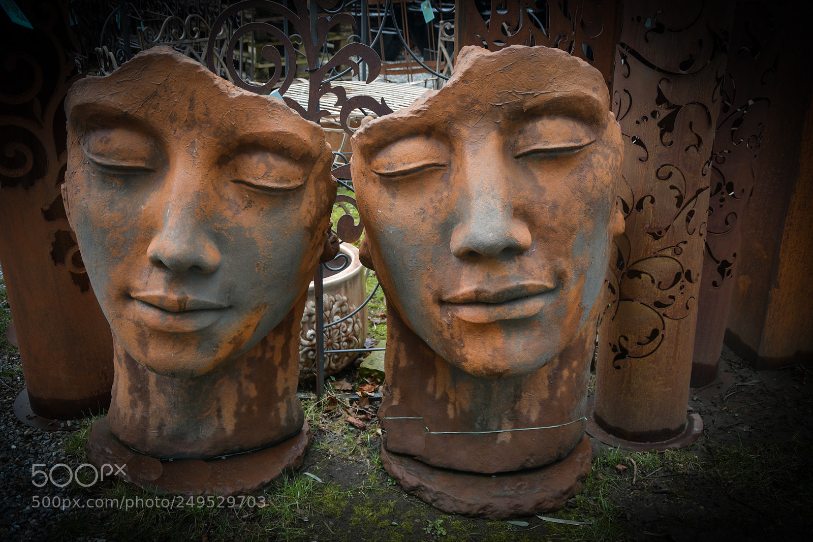 Nikon D7500 sample photo. Untitled photography