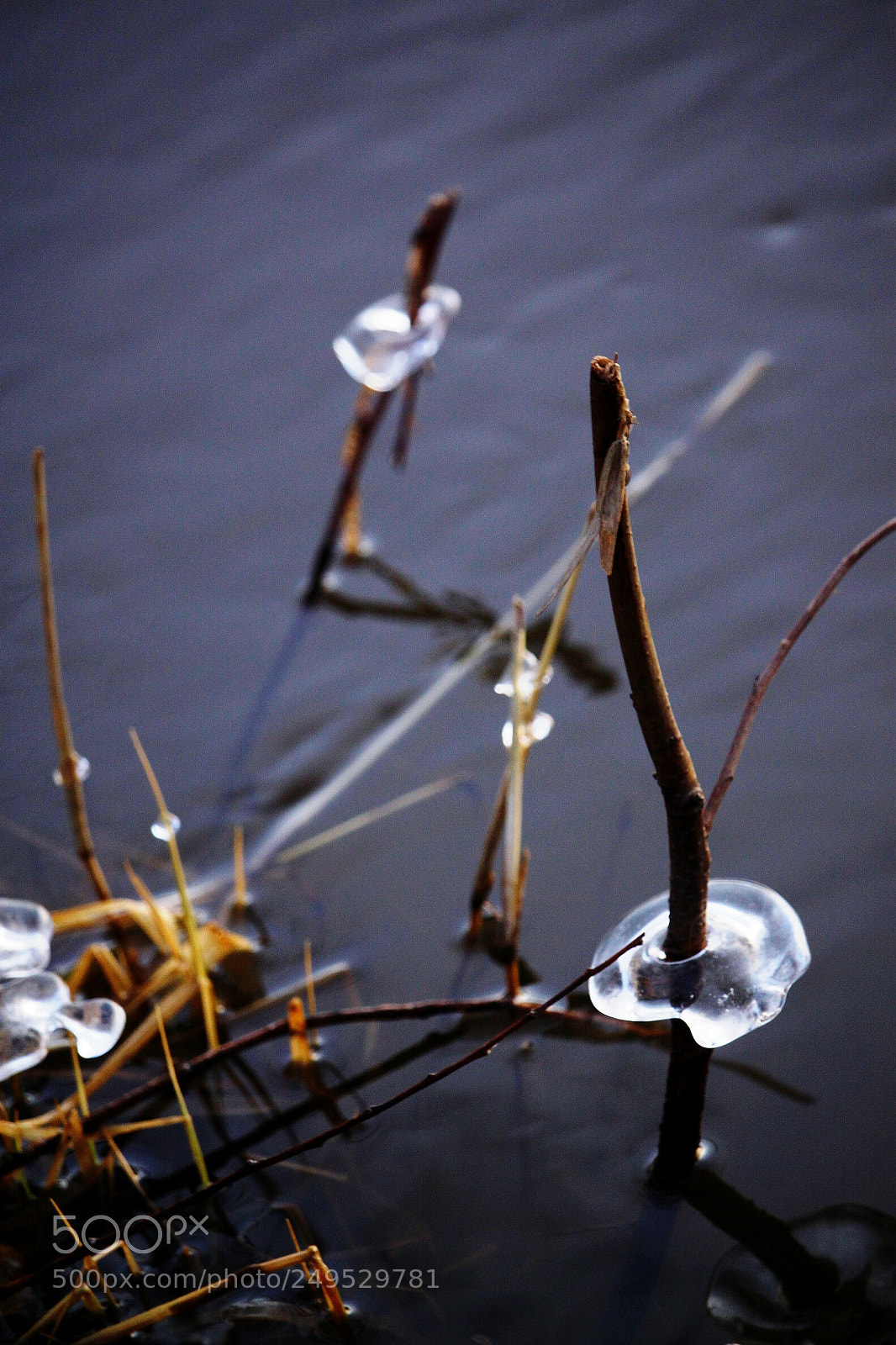 Canon EOS 500D (EOS Rebel T1i / EOS Kiss X3) sample photo. Ice art photography