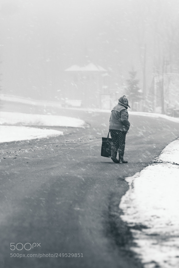Nikon D800 sample photo. Winter mood ... photography