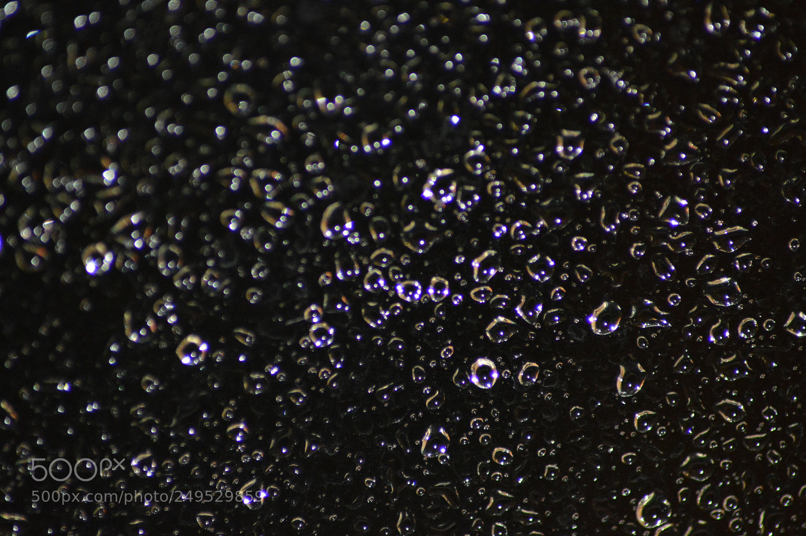 Nikon D3200 sample photo. Pedro silva 6 photography