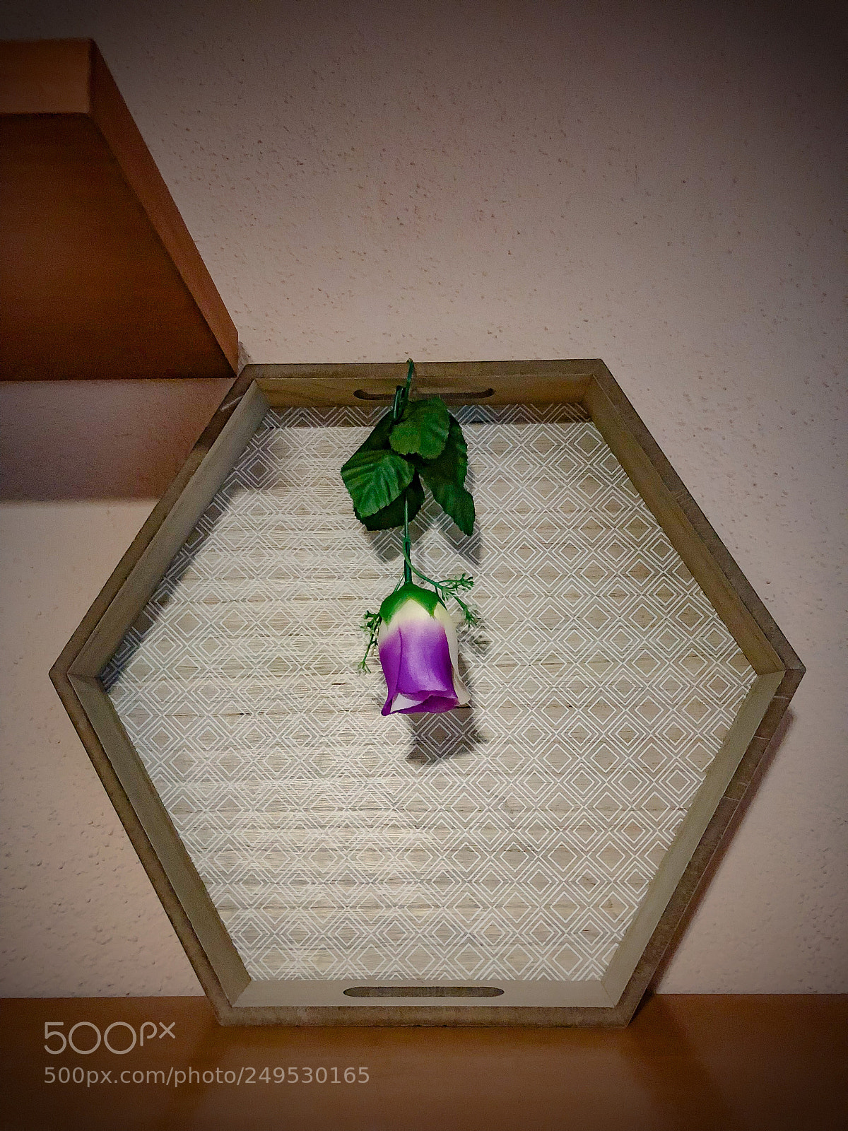 Apple iPhone X sample photo. Untitled photography
