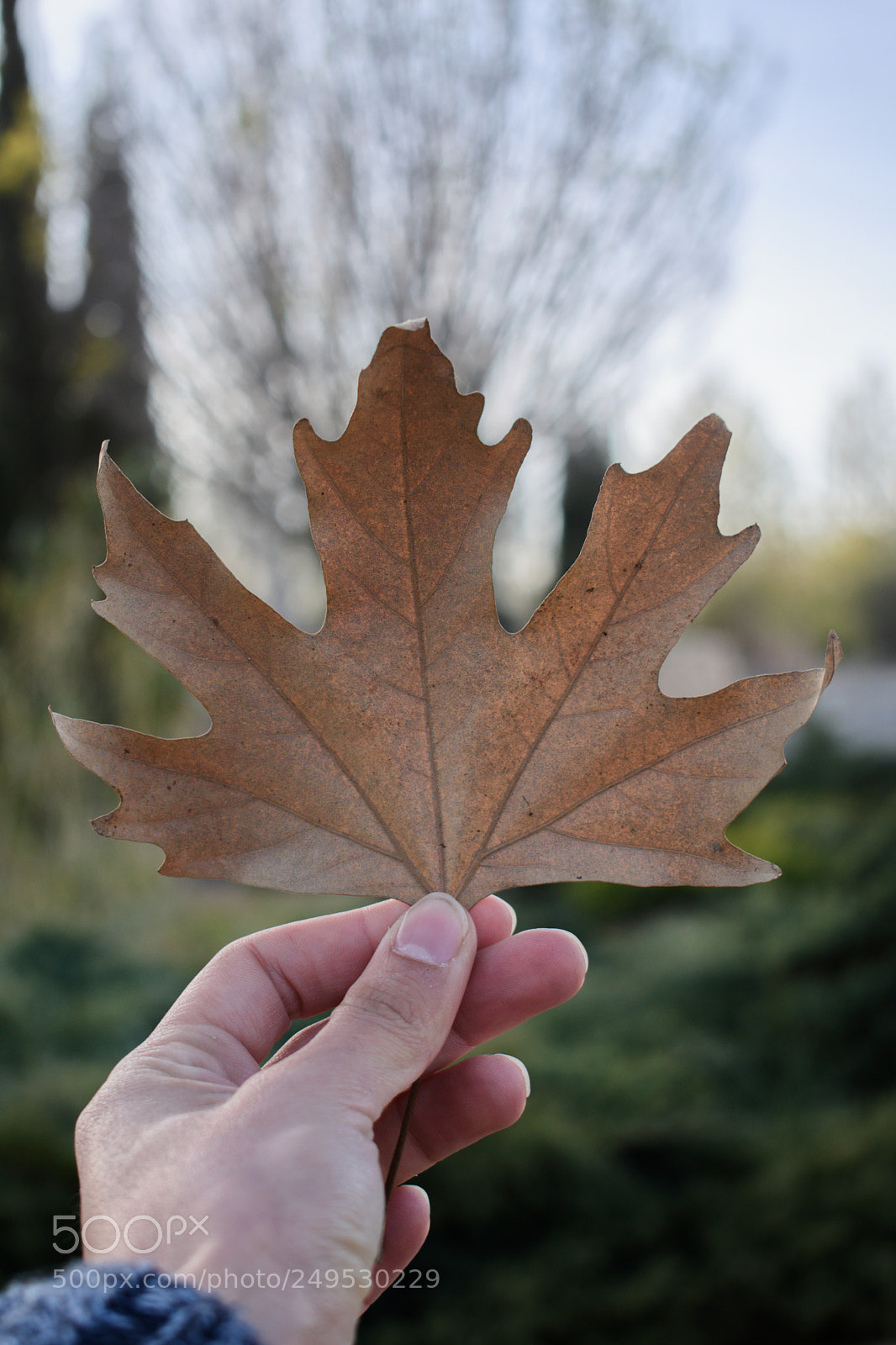 Nikon D5500 sample photo. Untitled photography