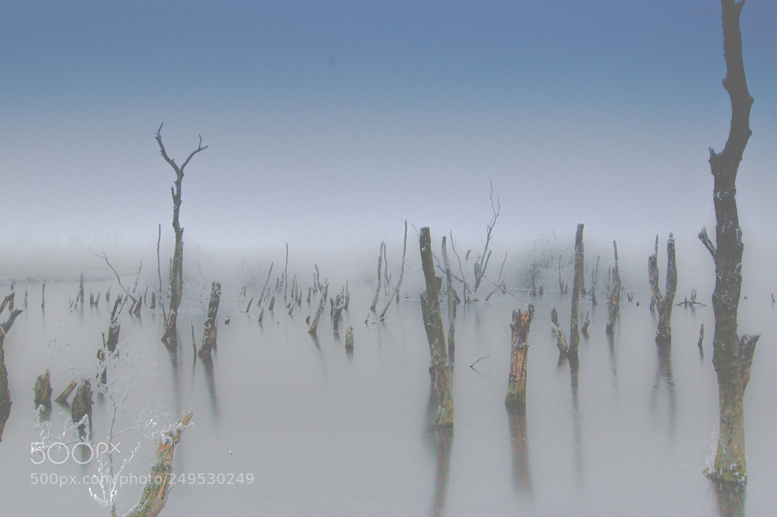 Nikon D70s sample photo. Winter in friesland photography