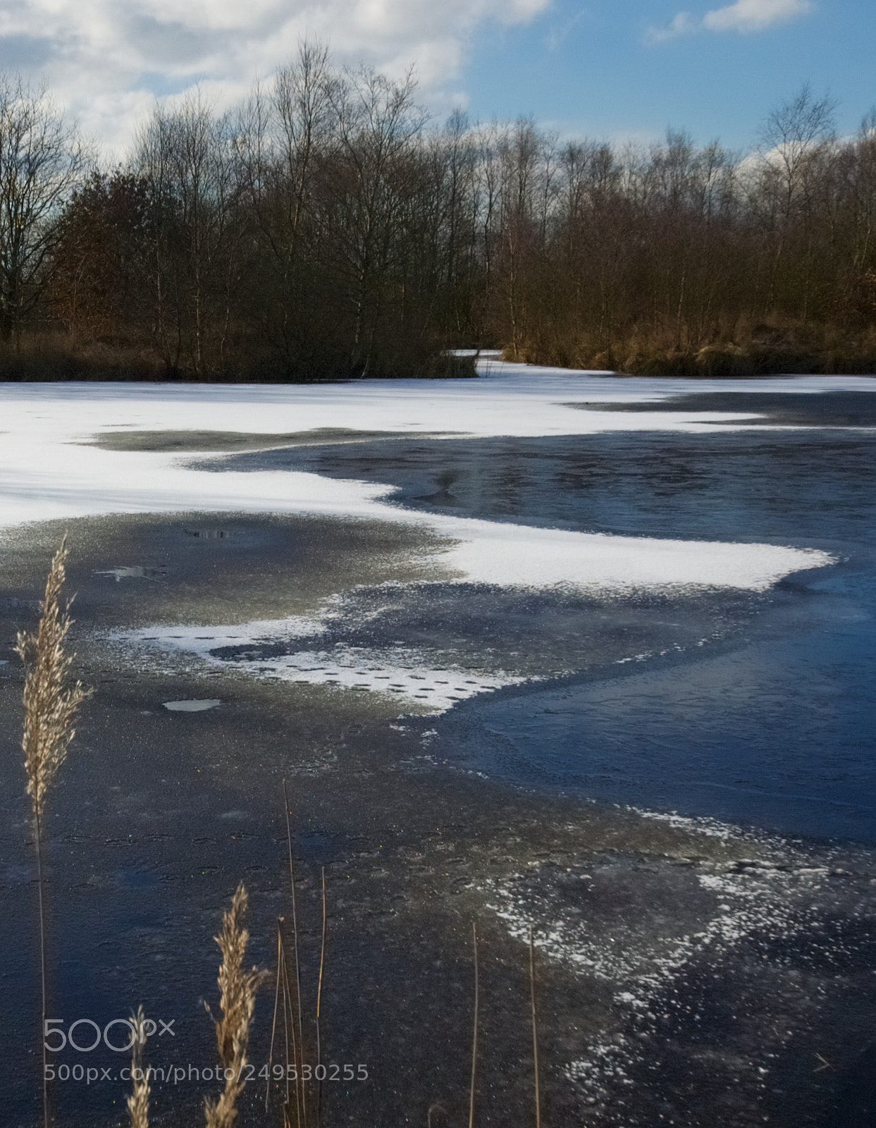 Nikon D70 sample photo. Winter in friesland photography