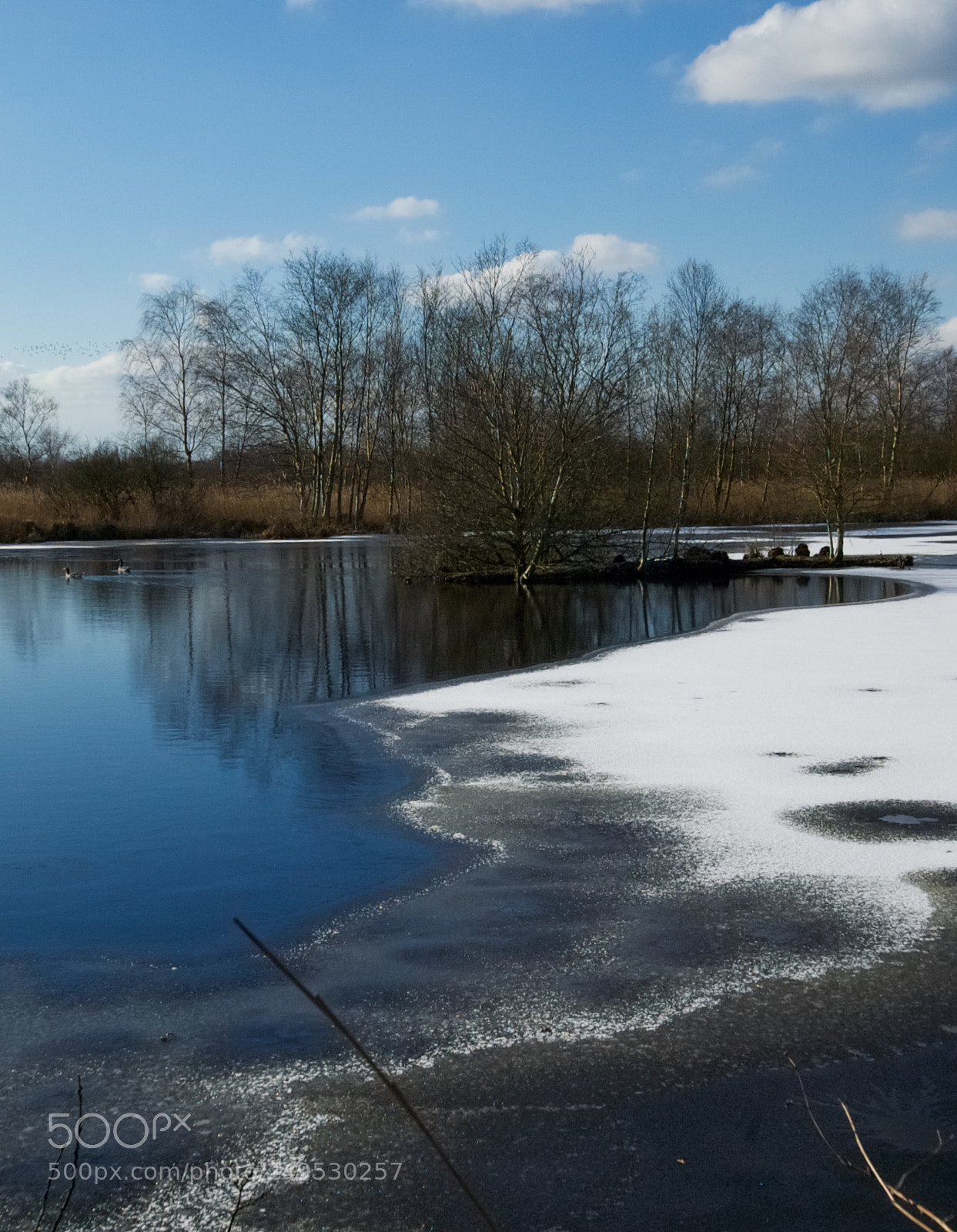 Nikon D70 sample photo. Winter in friesland photography