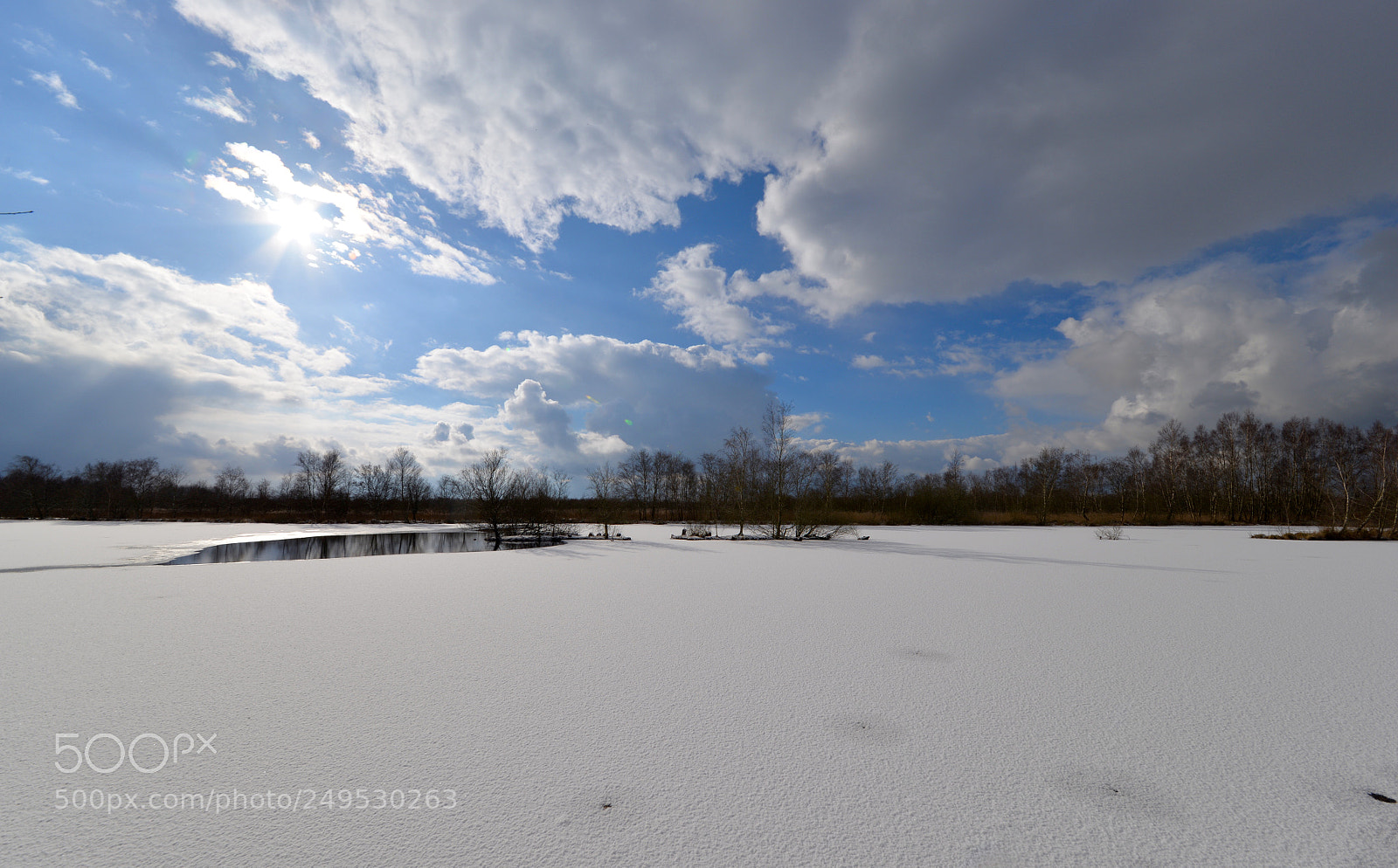 Nikon D610 sample photo. Winter in friesland photography