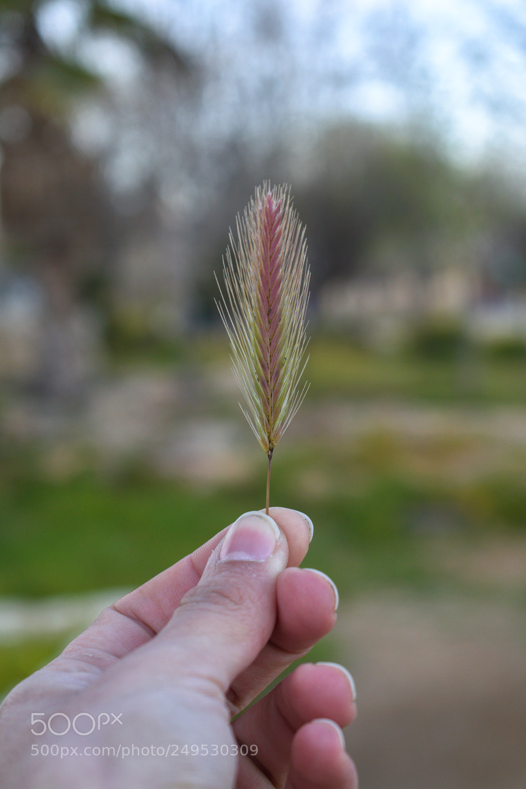Nikon D5500 sample photo. Untitled photography