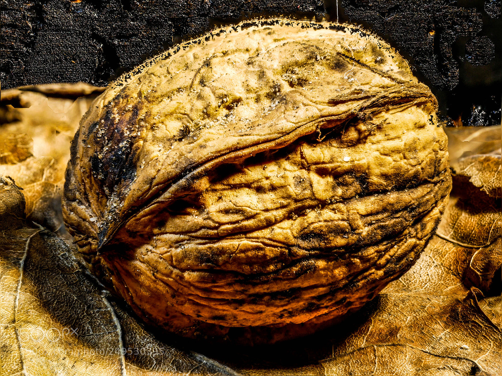 Panasonic DMC-G81 sample photo. Macro of a walnut photography
