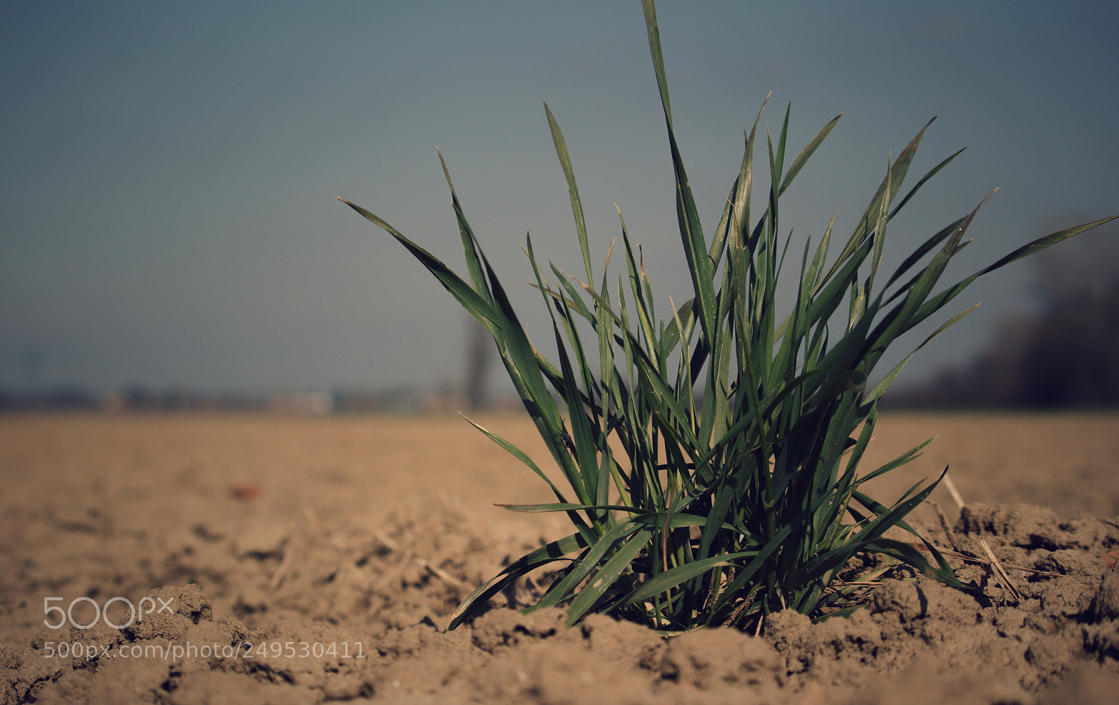 Canon EOS 100D (EOS Rebel SL1 / EOS Kiss X7) sample photo. Dead land photography