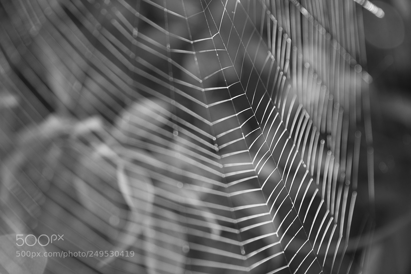Nikon D610 sample photo. Asturias 45 photography