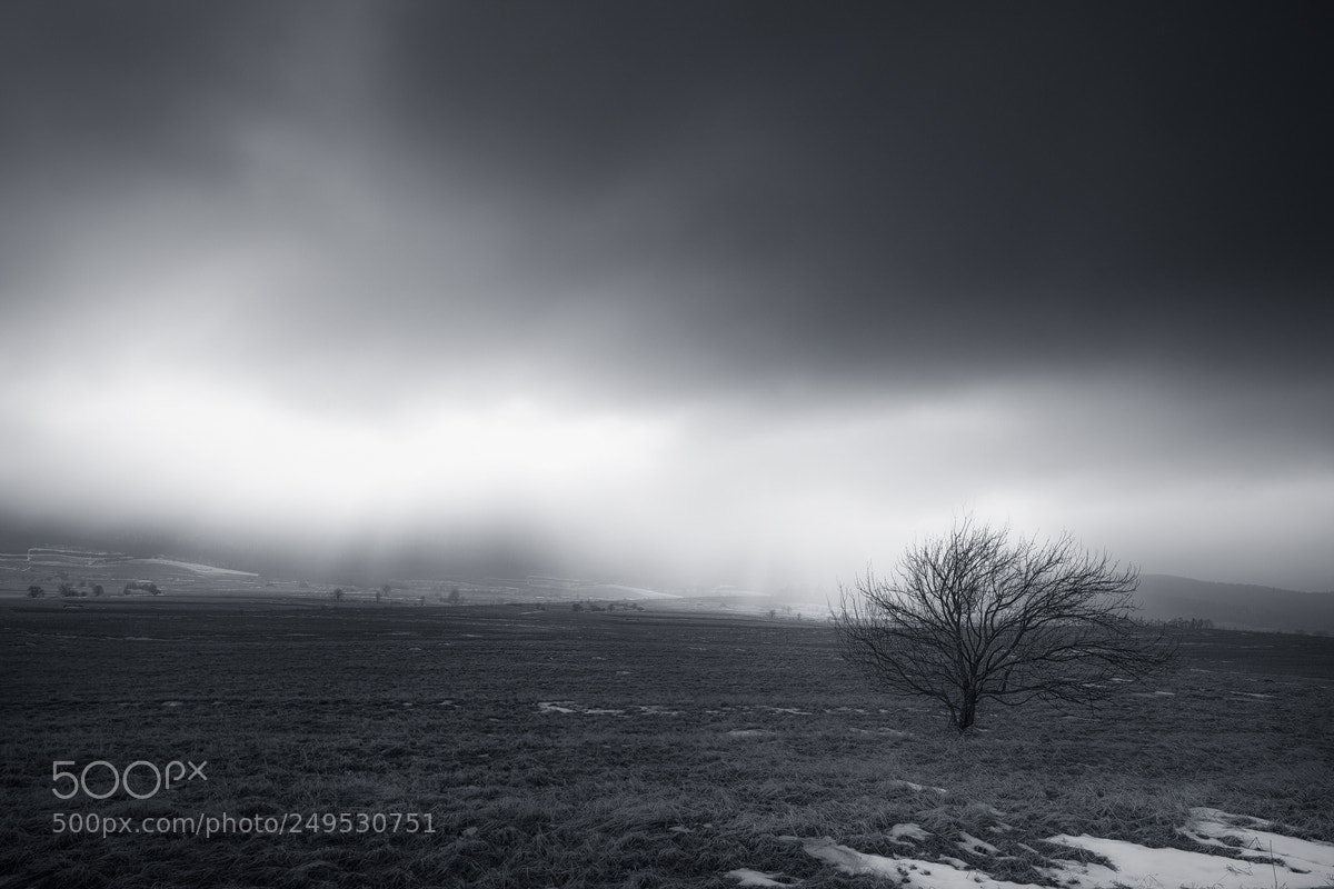 Nikon D800 sample photo. Winter mood ... photography