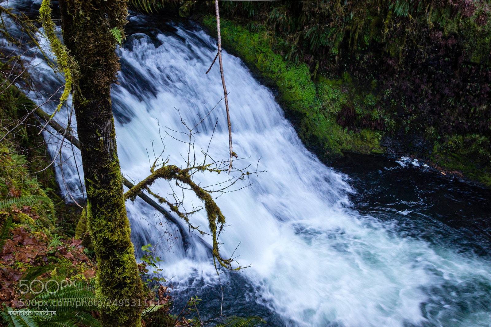 Canon EOS 600D (Rebel EOS T3i / EOS Kiss X5) sample photo. Drake falls, oregon photography
