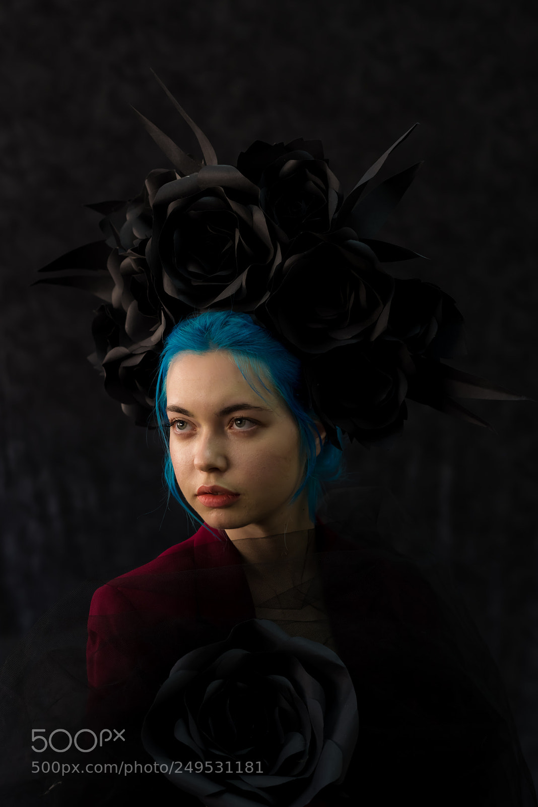 Nikon D810 sample photo. Dark rose photography