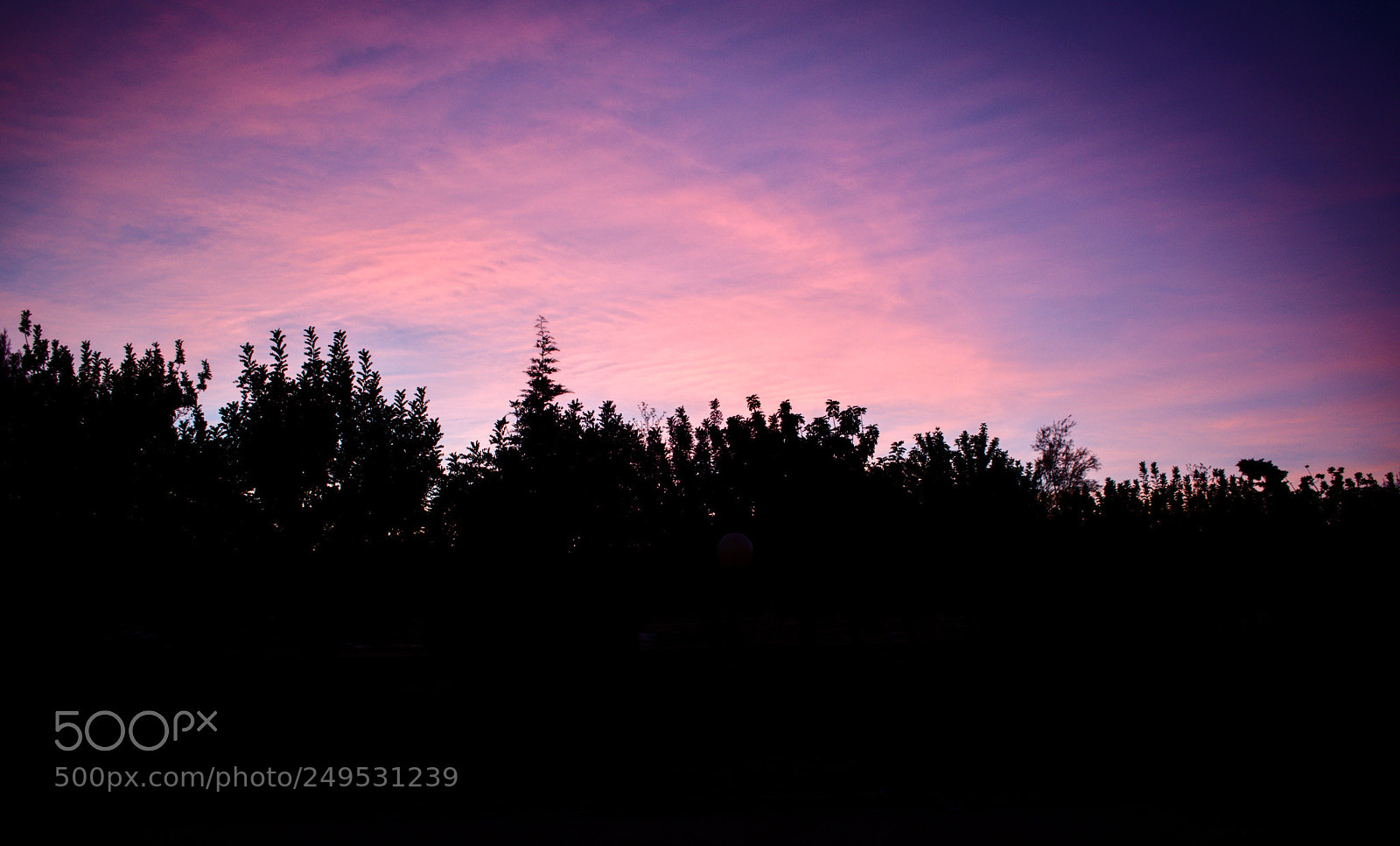 Nikon D5500 sample photo. Untitled photography