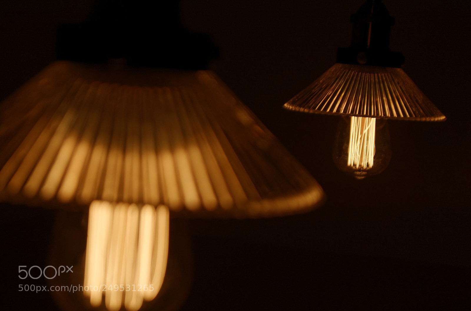 Nikon D5100 sample photo. Untitled photography