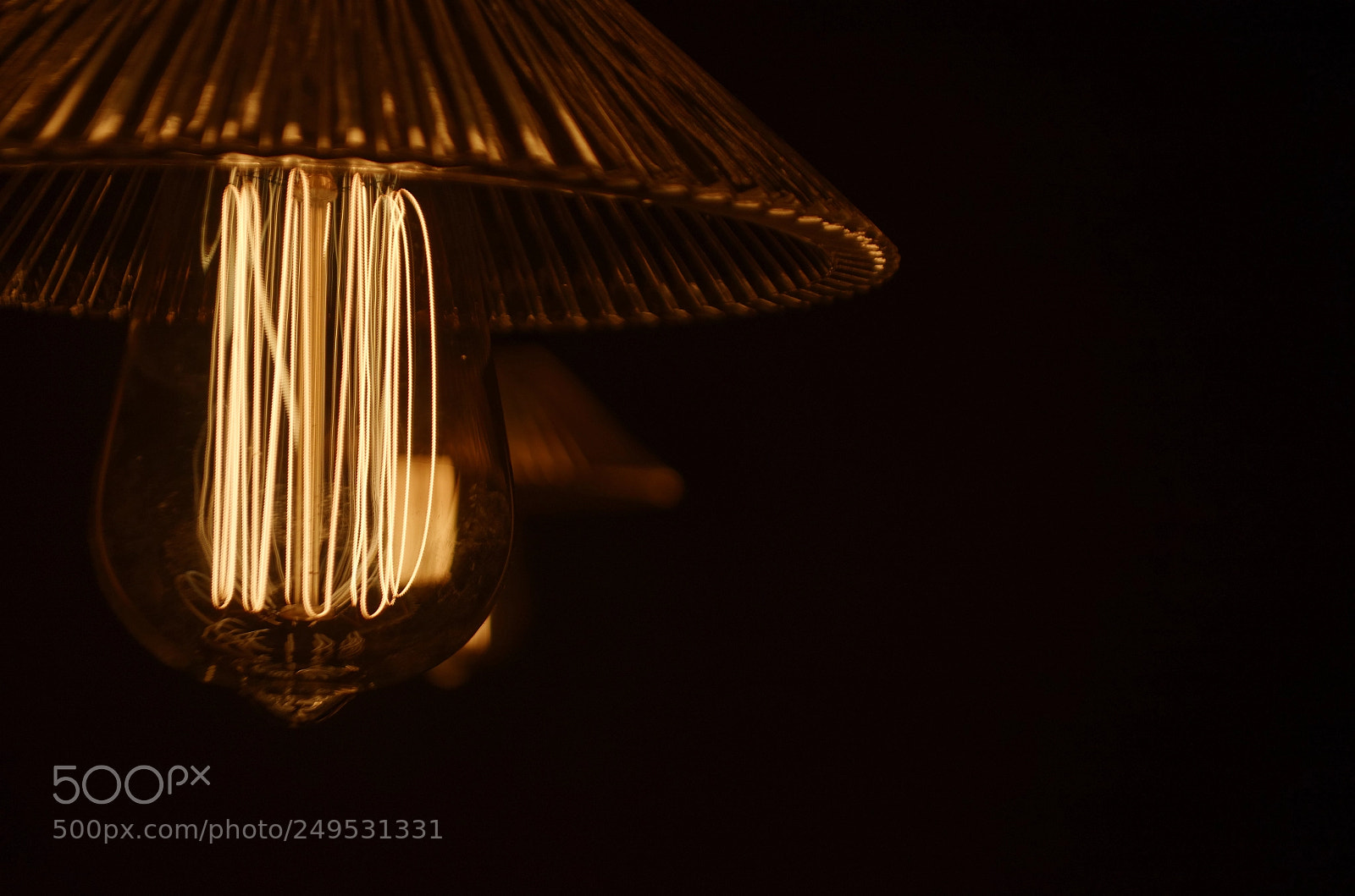 Nikon D5100 sample photo. Untitled photography