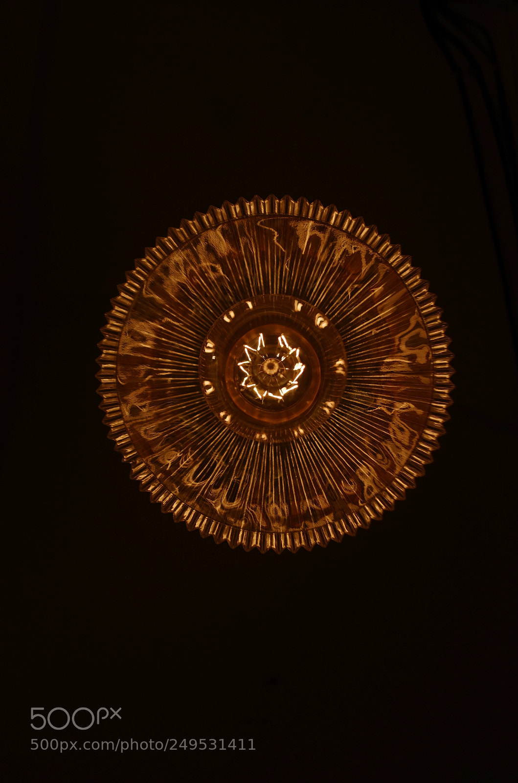 Nikon D5100 sample photo. Untitled photography