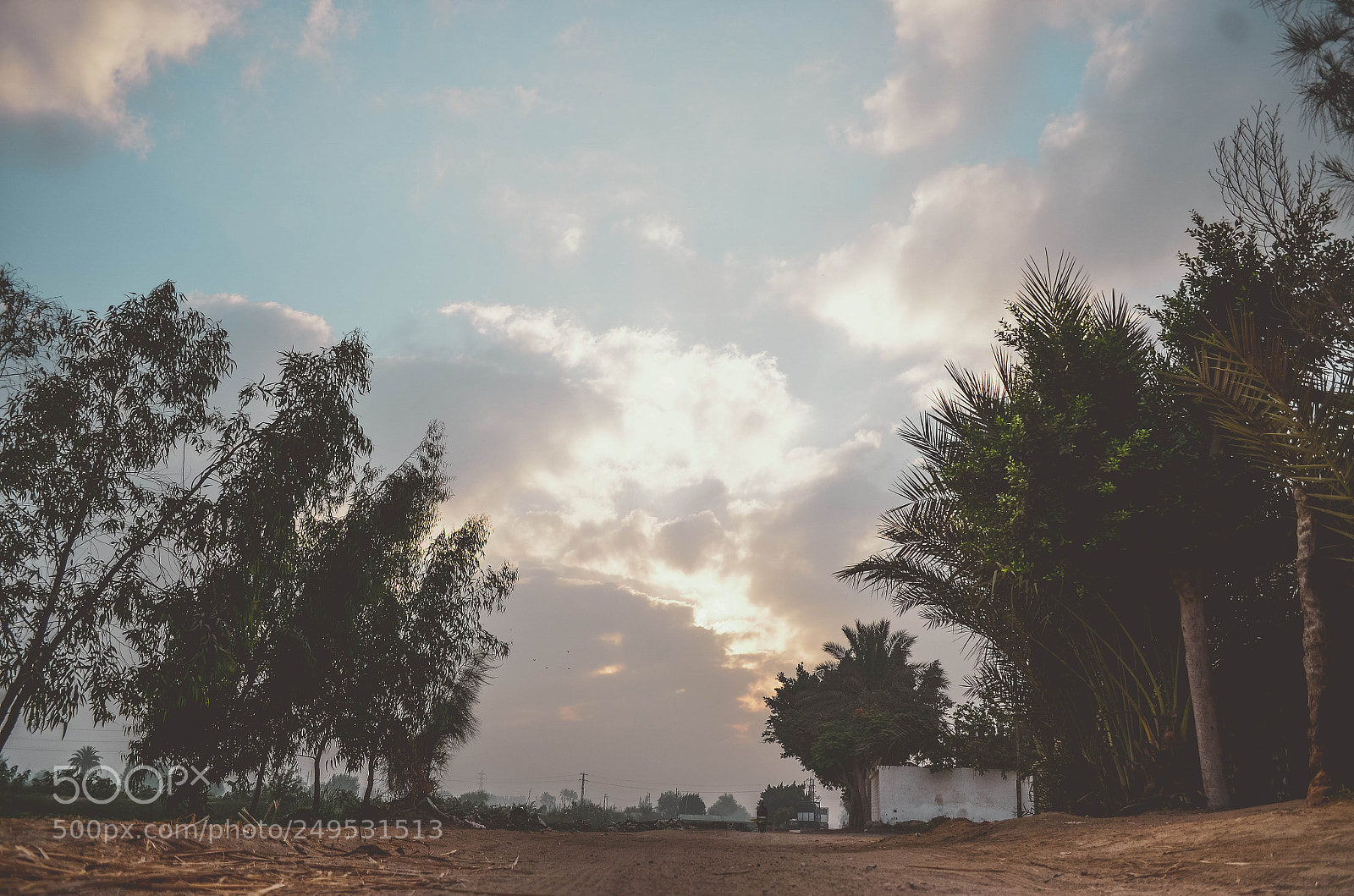 Nikon D5100 sample photo. - ismailia - photography