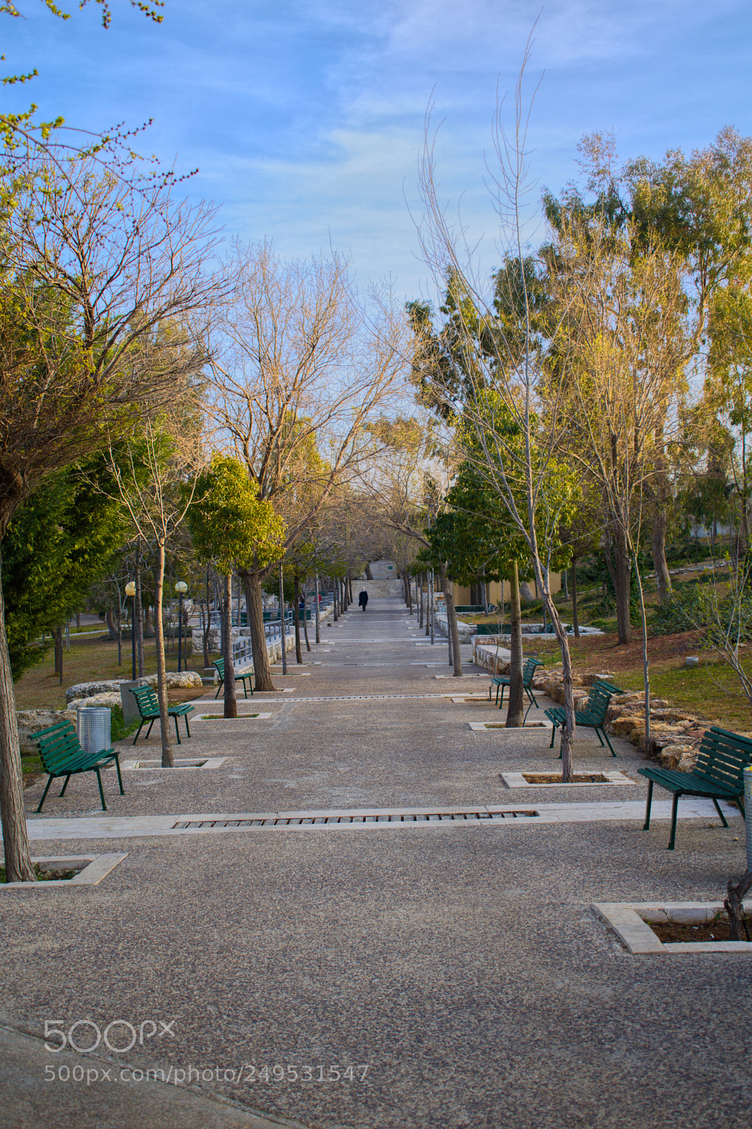 Nikon D5500 sample photo. Untitled photography