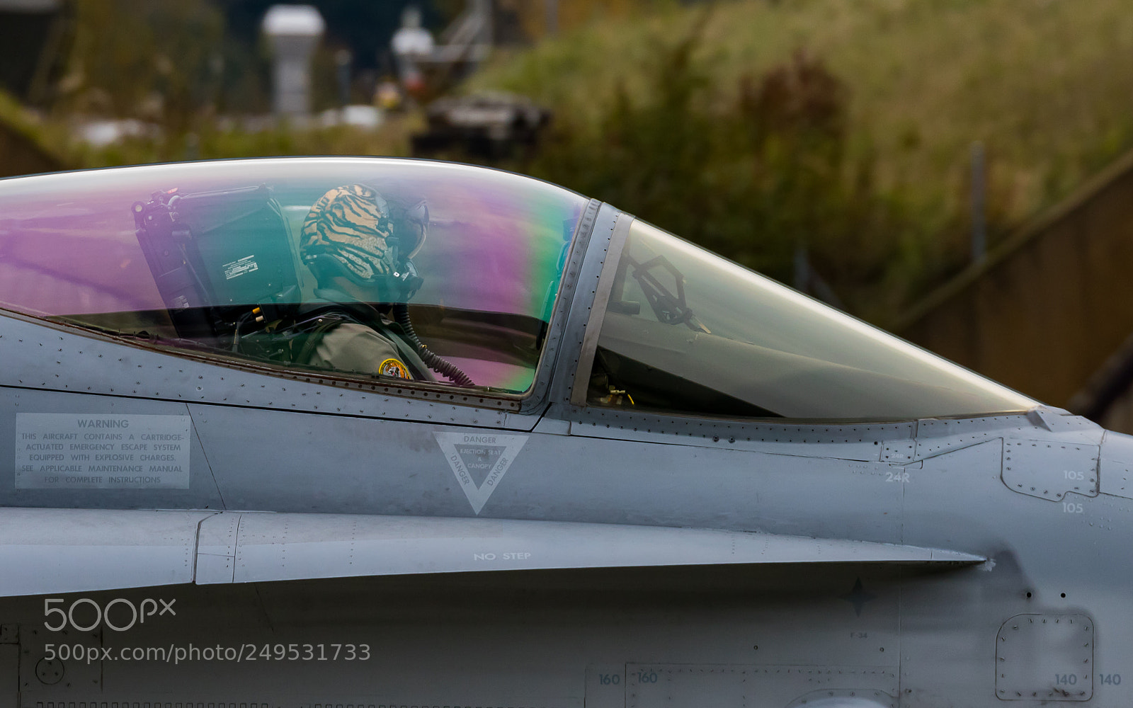 Canon EOS 7D Mark II sample photo. Swiss hornet -4 photography