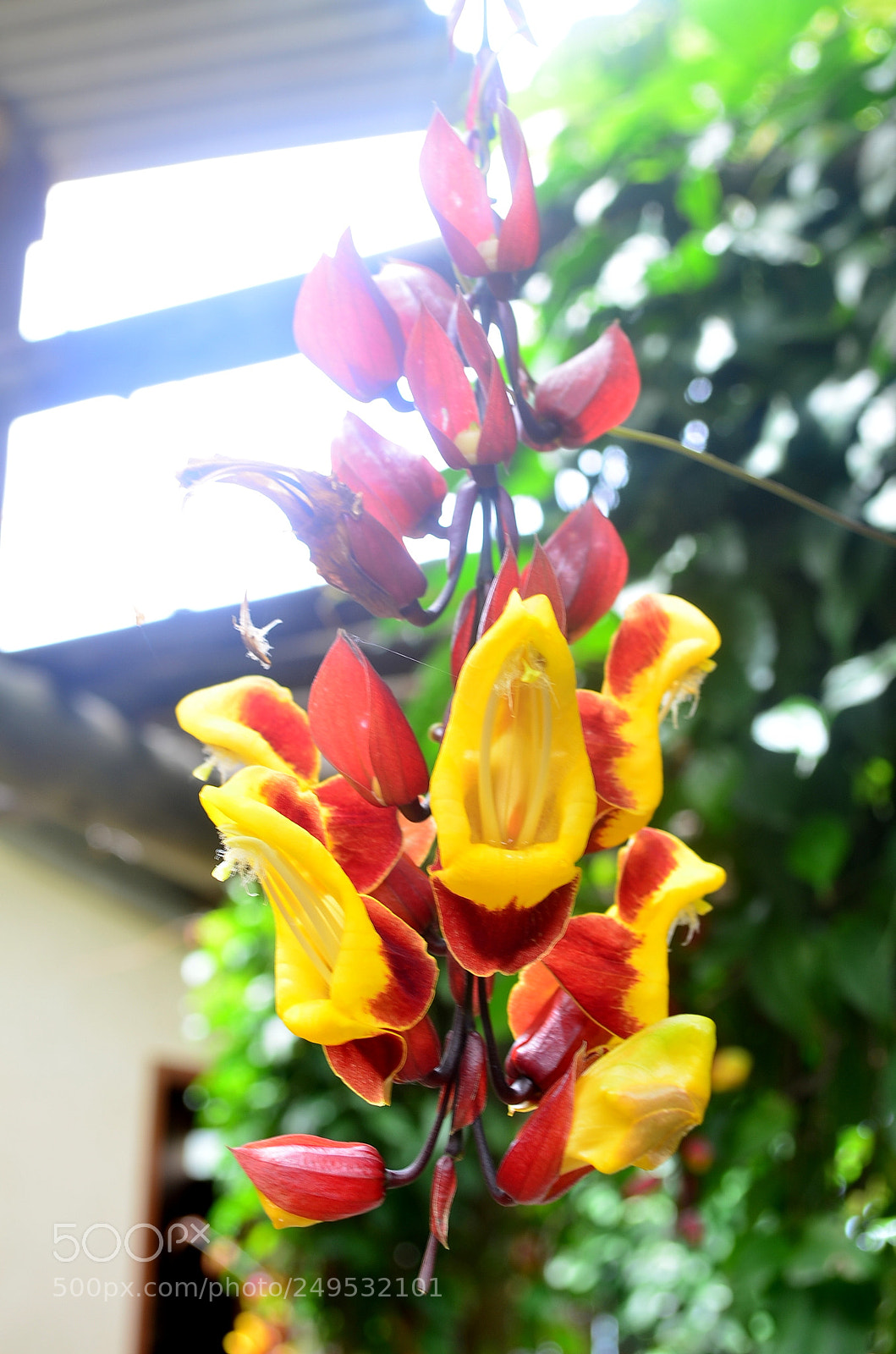 Nikon D5100 sample photo. Campanillas photography