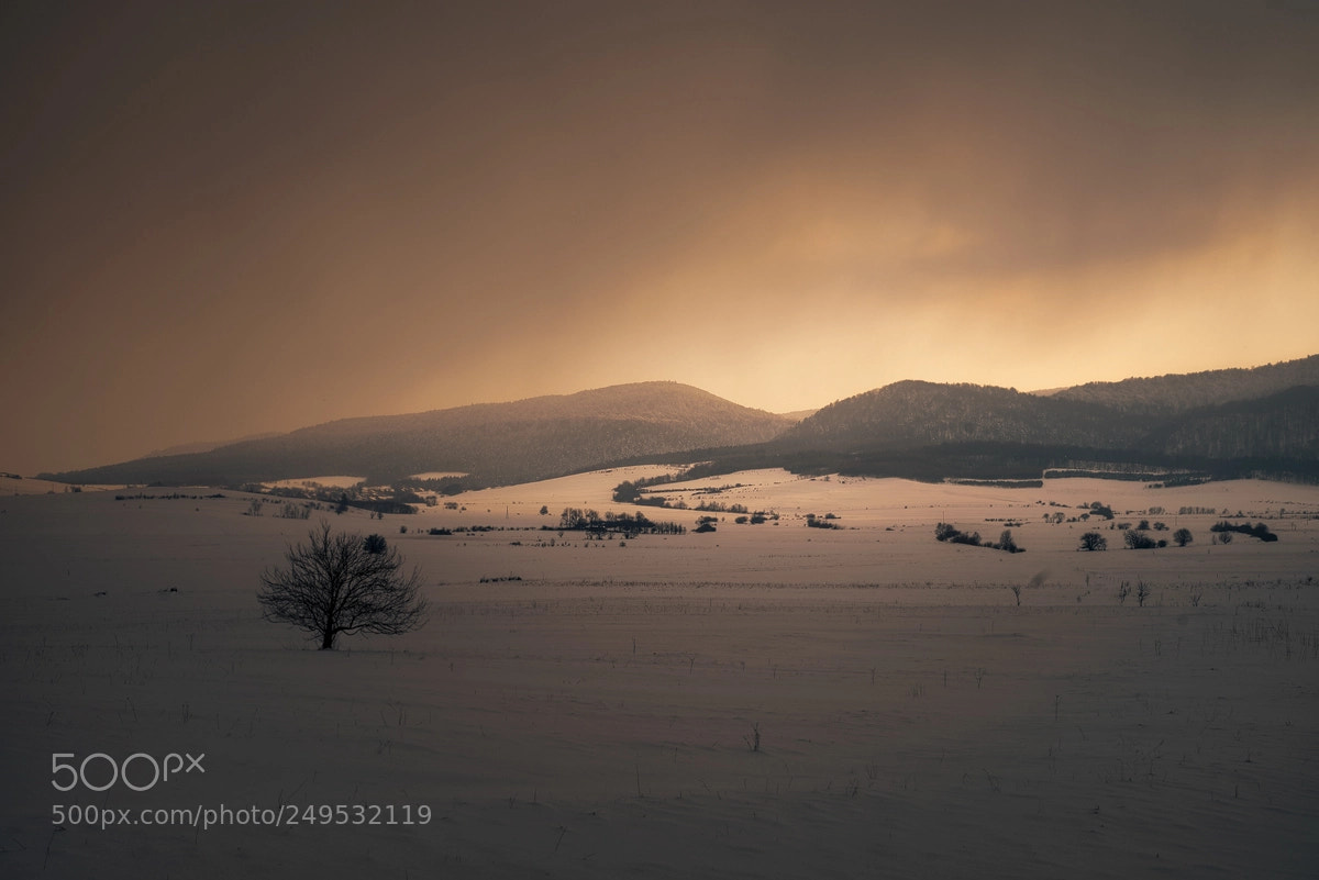 Nikon D800 sample photo. Winter mood ... photography
