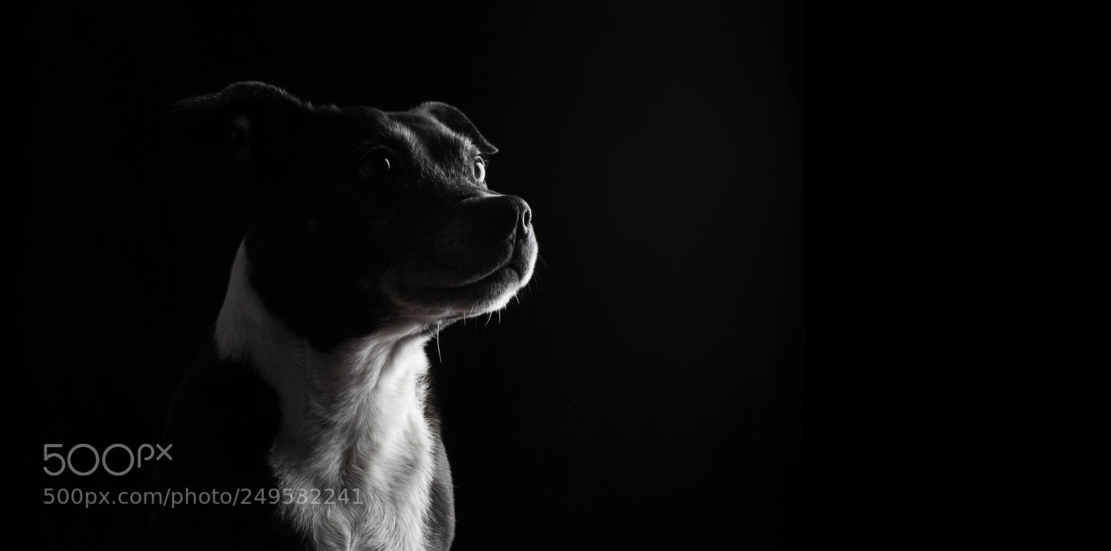 Nikon D600 sample photo. Untitled photography