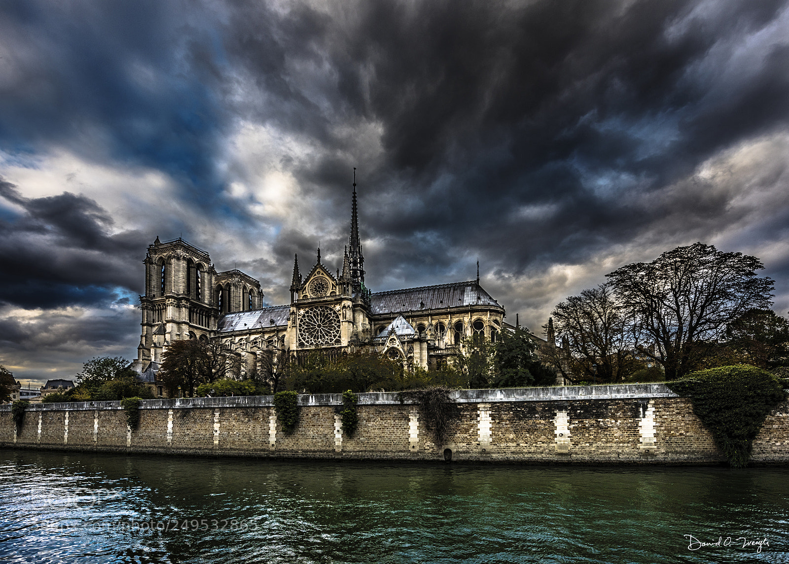 Nikon D810 sample photo. Notre dame from the photography