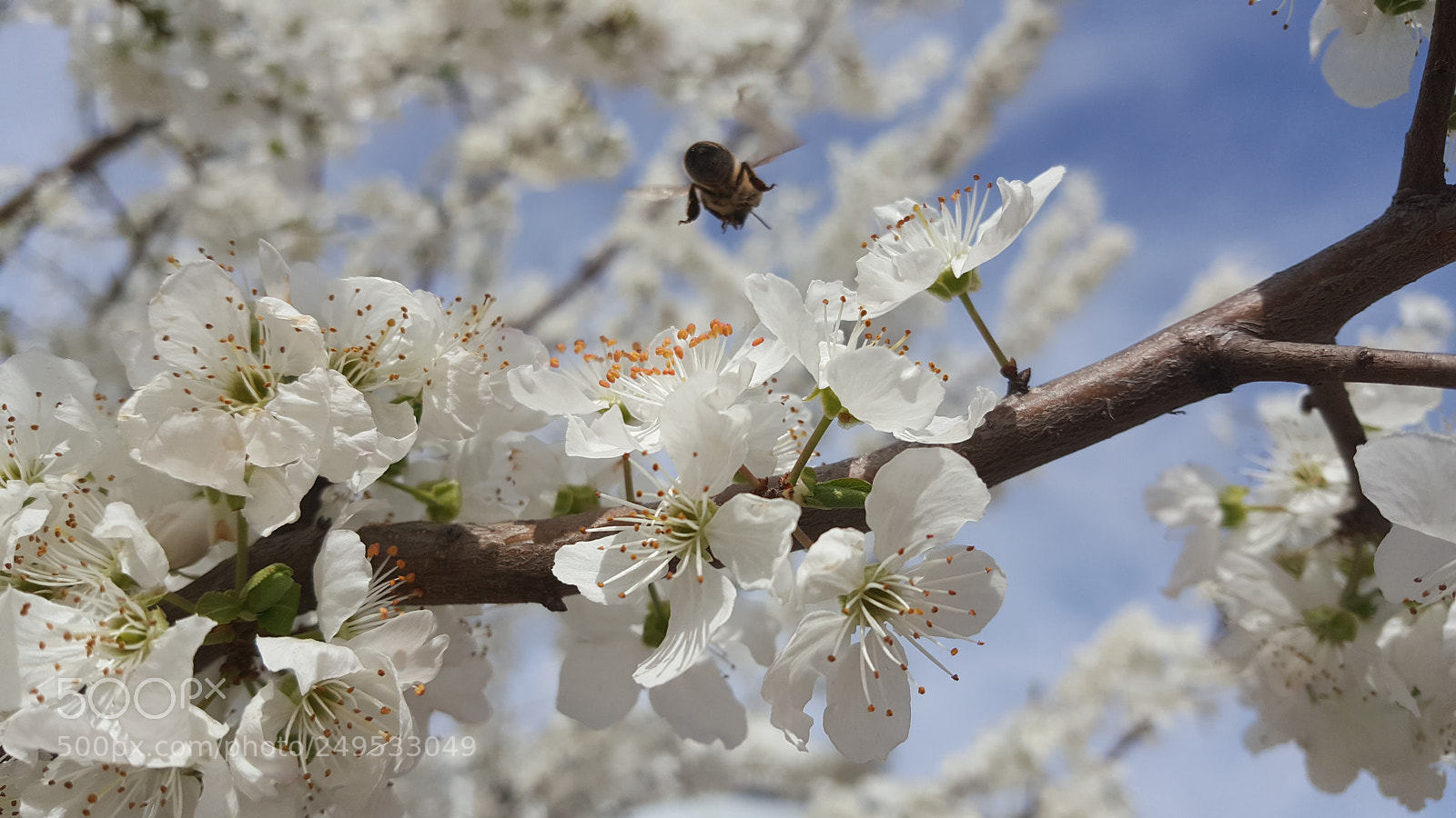 Samsung Galaxy Note5 sample photo. Untitled photography