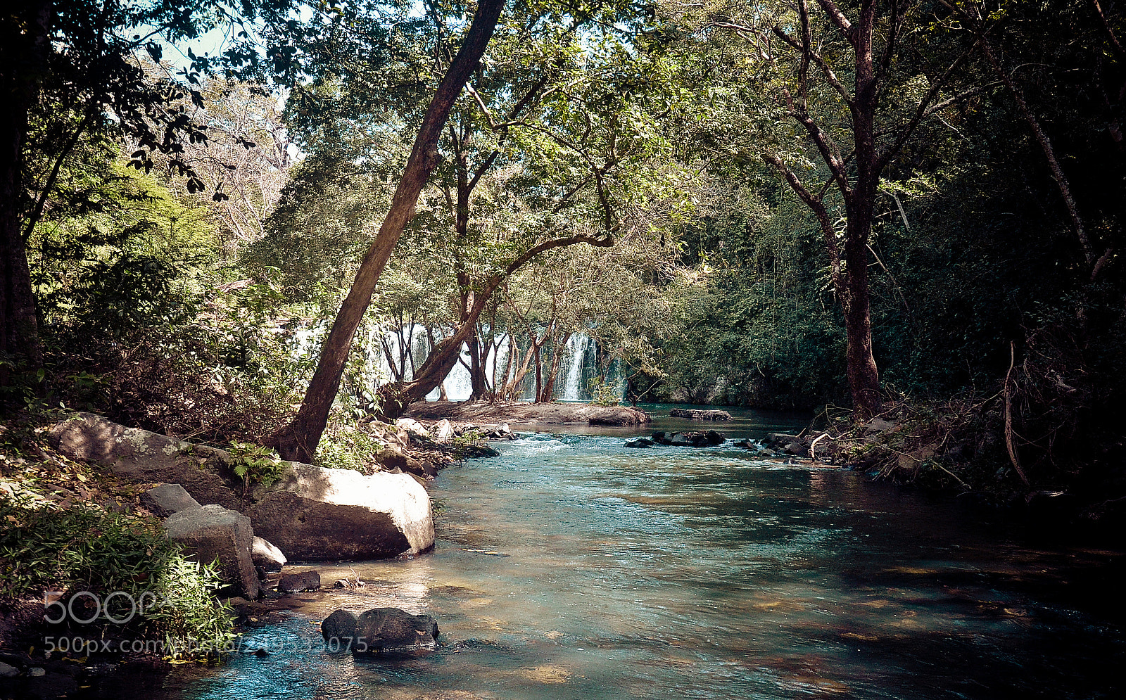 Nikon D7000 sample photo. Untitled photography