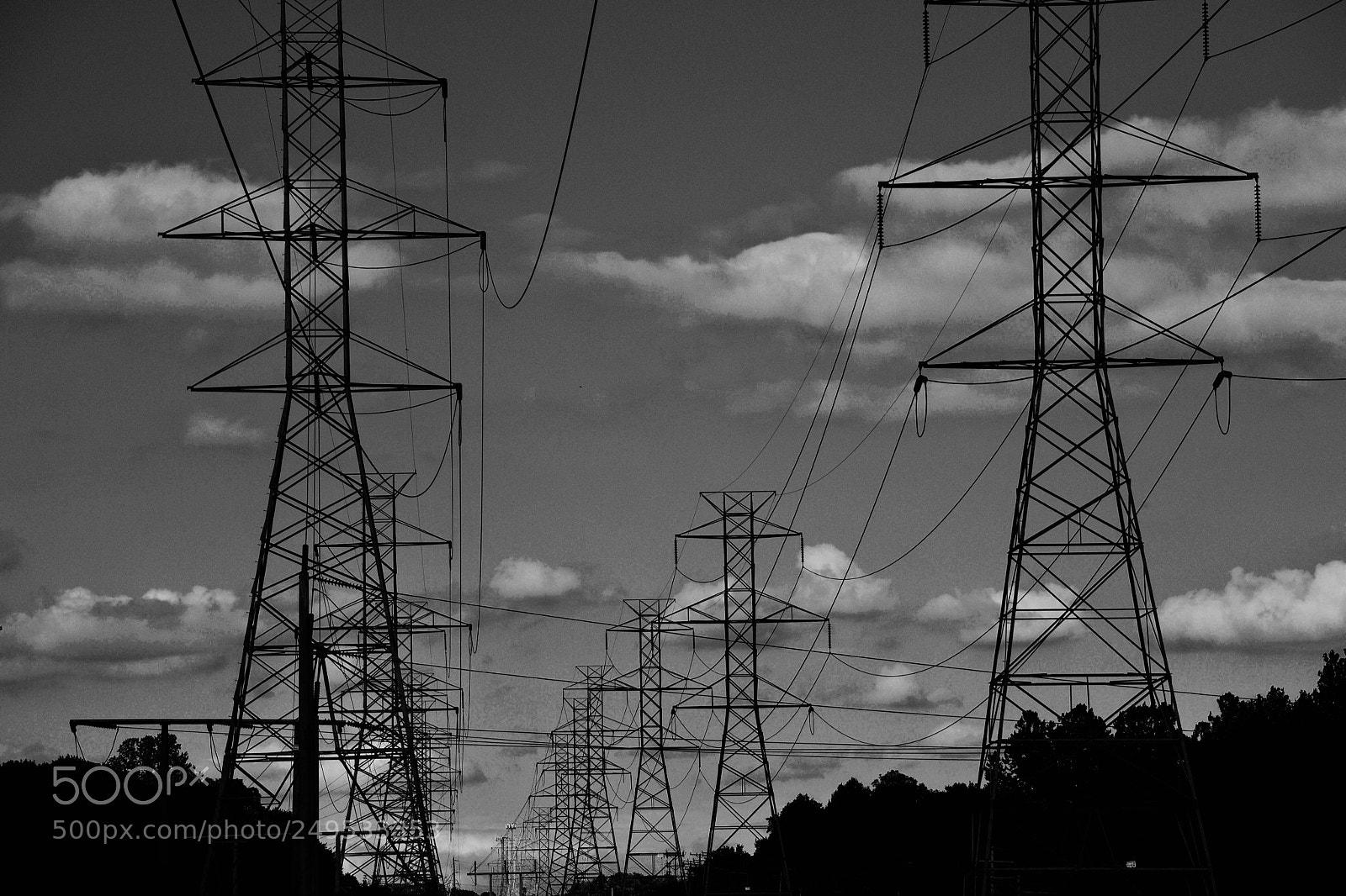 Nikon D3100 sample photo. Electric photography