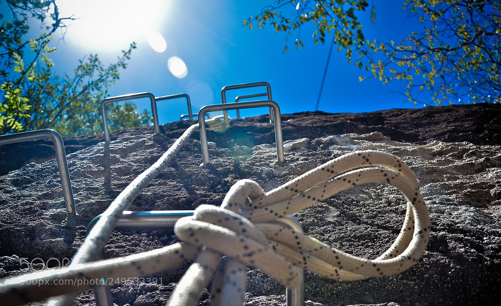 Nikon D7000 sample photo. Untitled photography