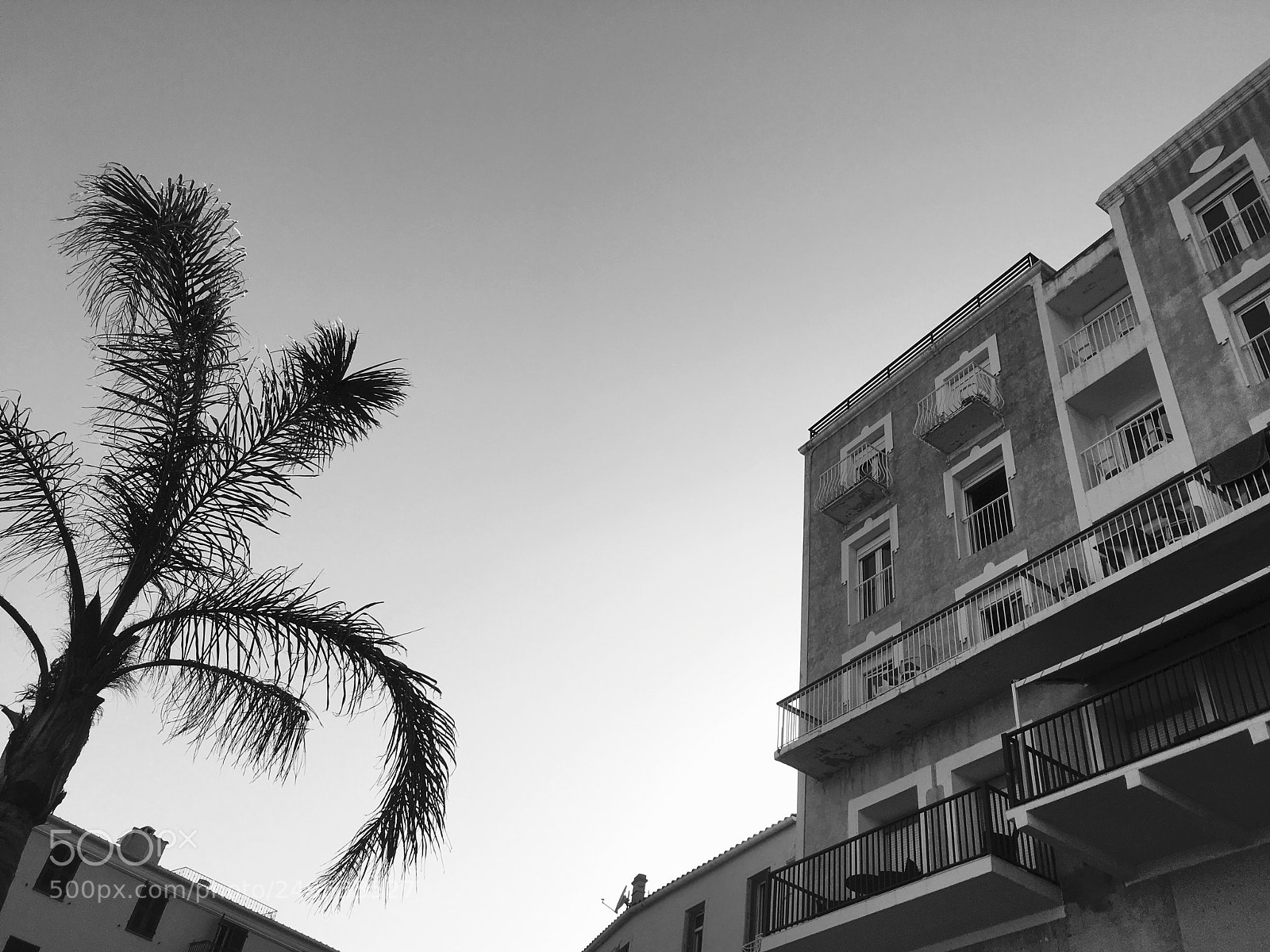 Apple iPhone SE sample photo. Corsica 5. photography