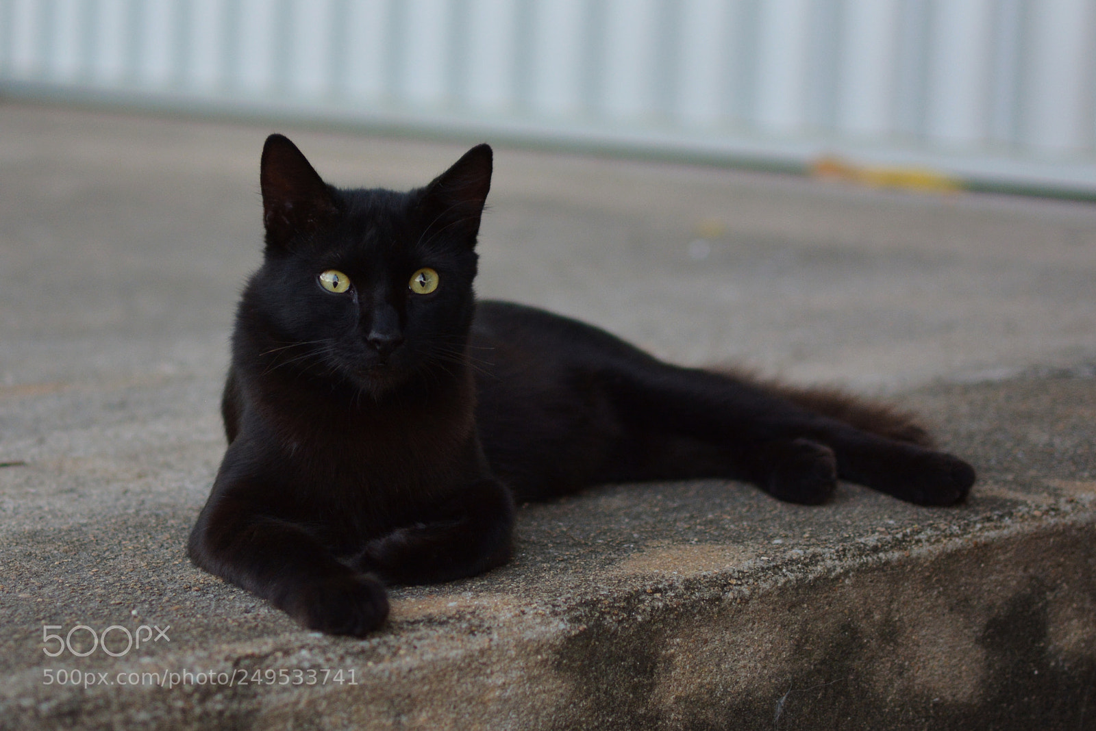 Nikon D5200 + Nikon AF-S DX Nikkor 35mm F1.8G sample photo. Dsc photography