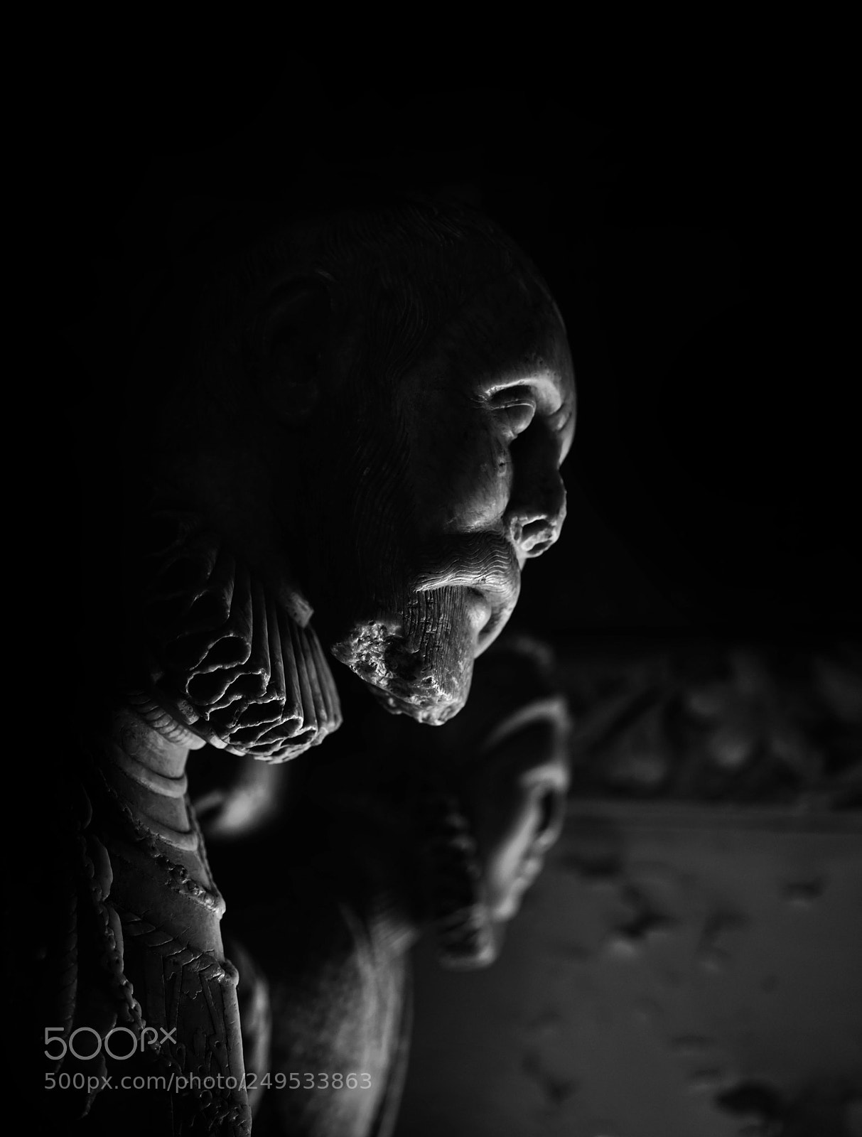 Sony a7R II sample photo. Emperors photography