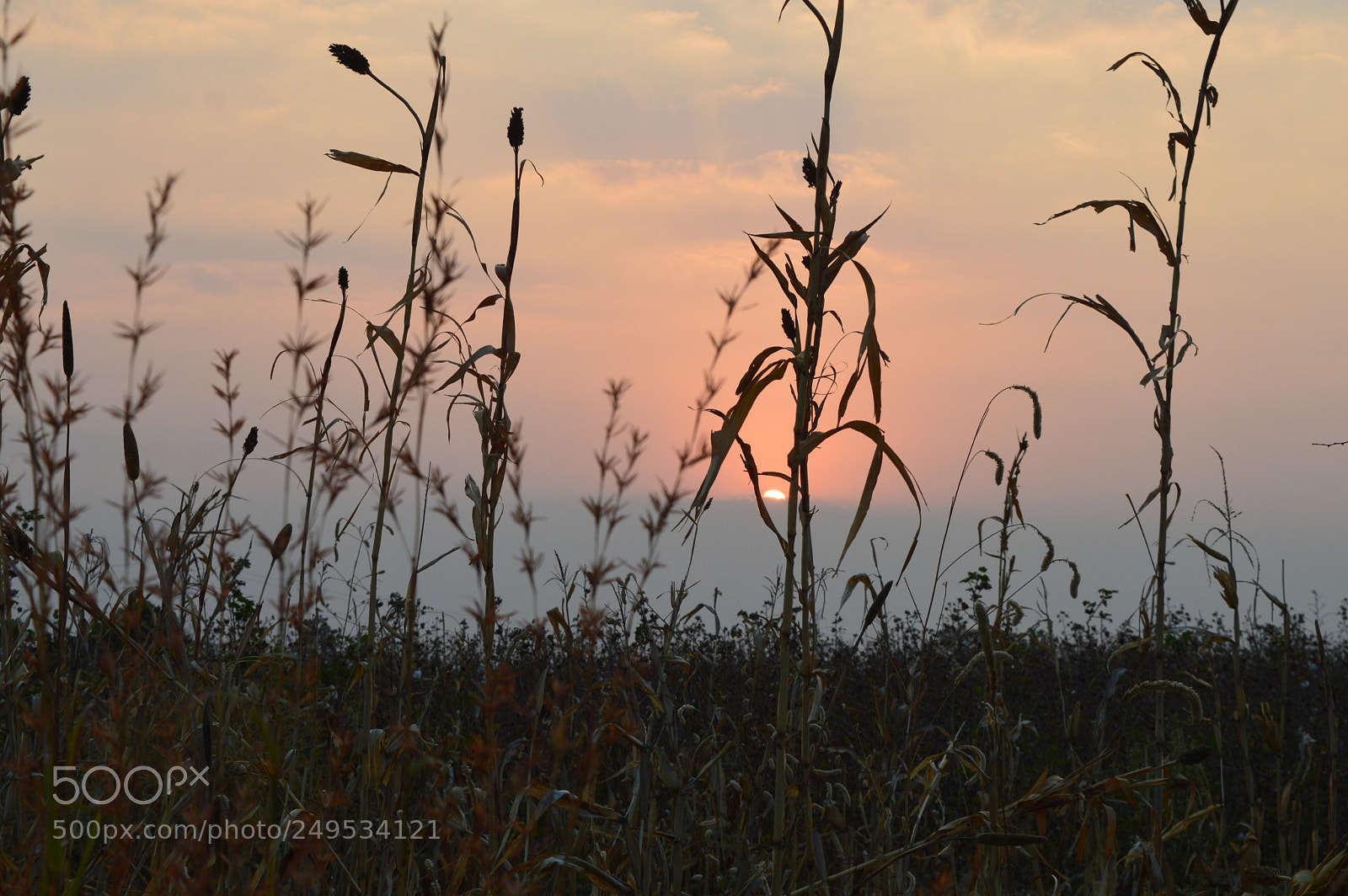 Nikon D3200 sample photo. Sunset photography