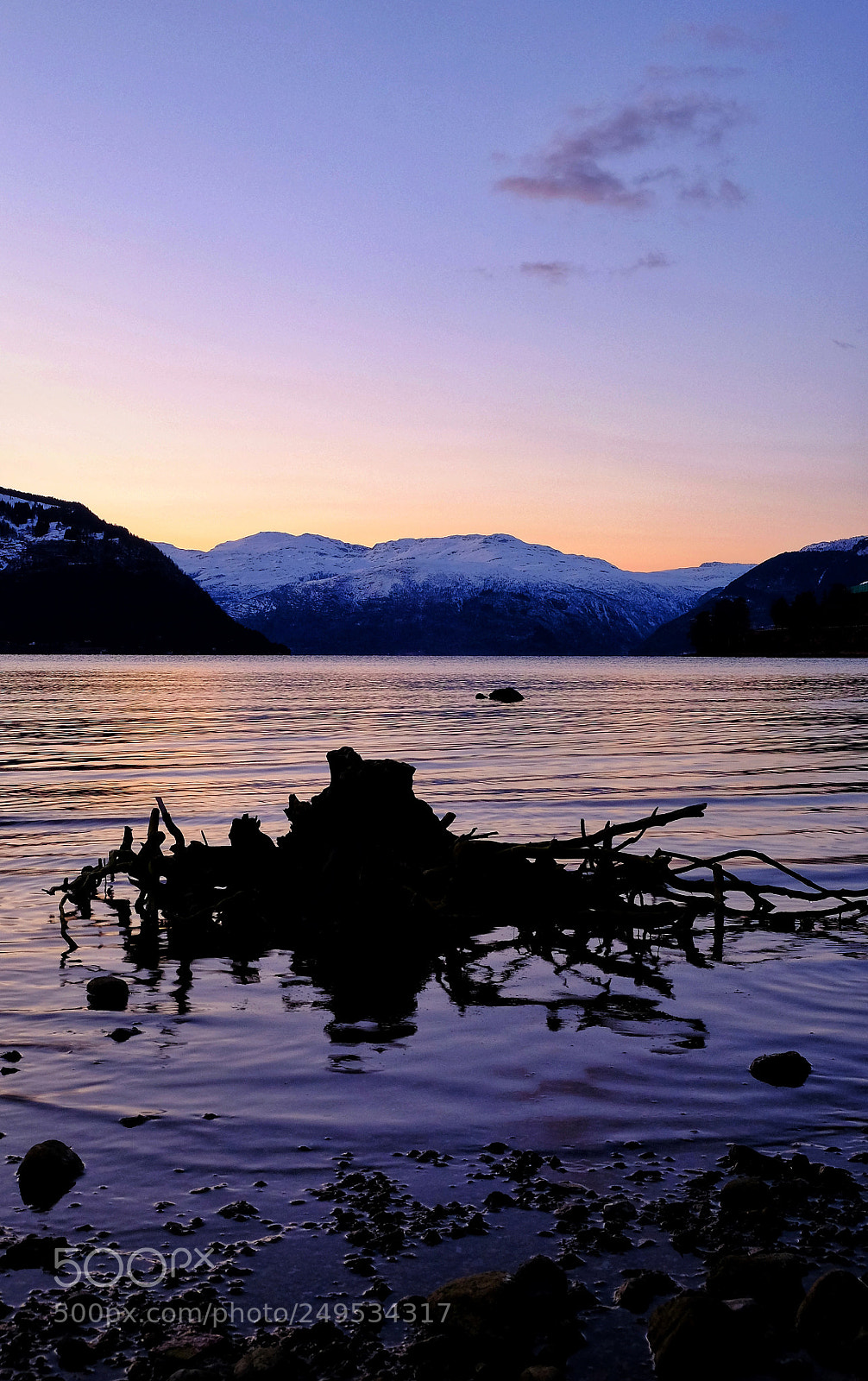 Fujifilm X-T1 sample photo. Hardangerfjord today photography