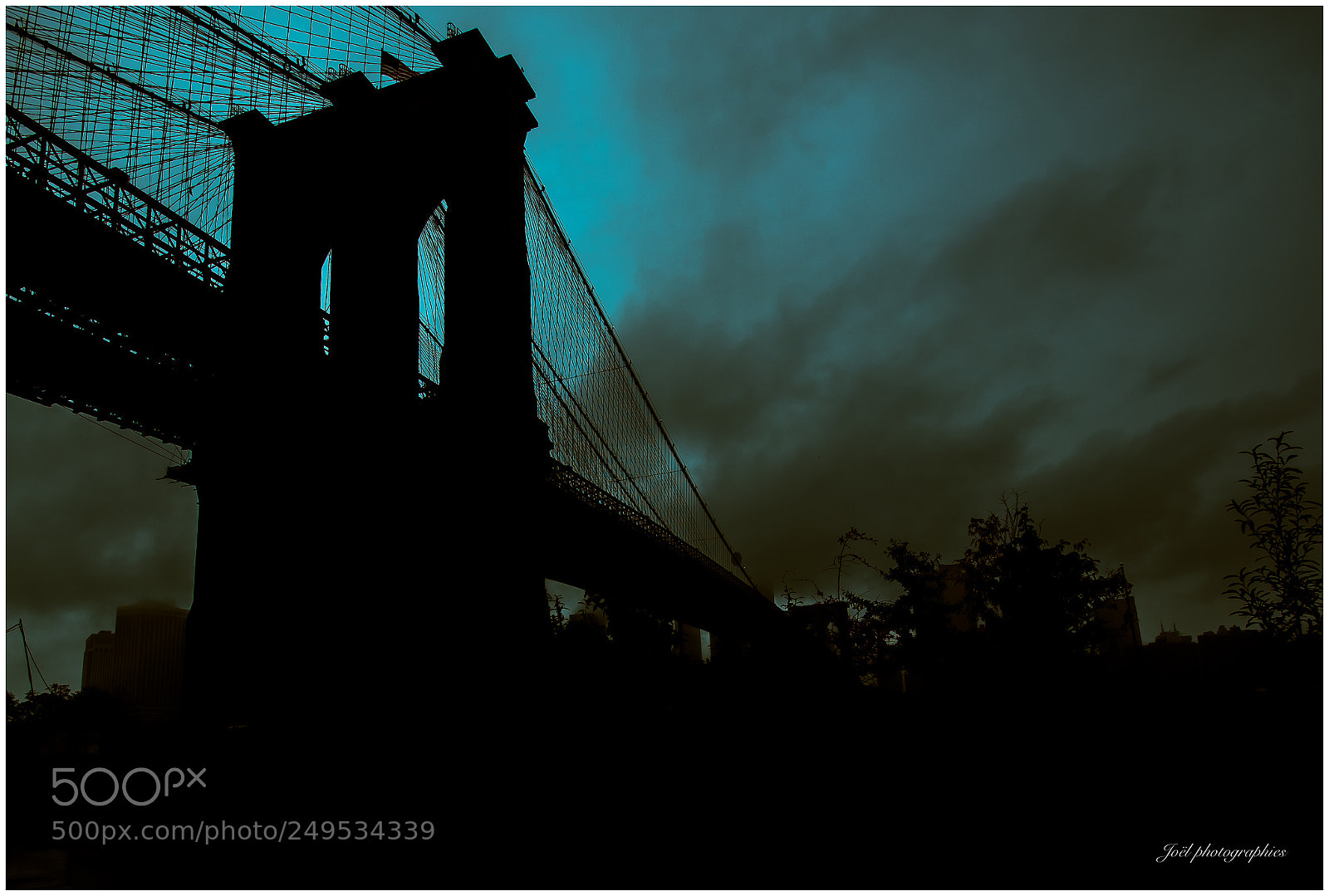 Nikon D810 sample photo. Untitled photography