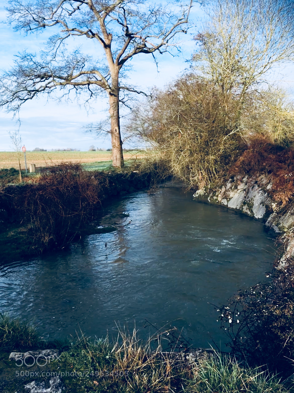 Apple iPhone SE sample photo. Morning walk photography