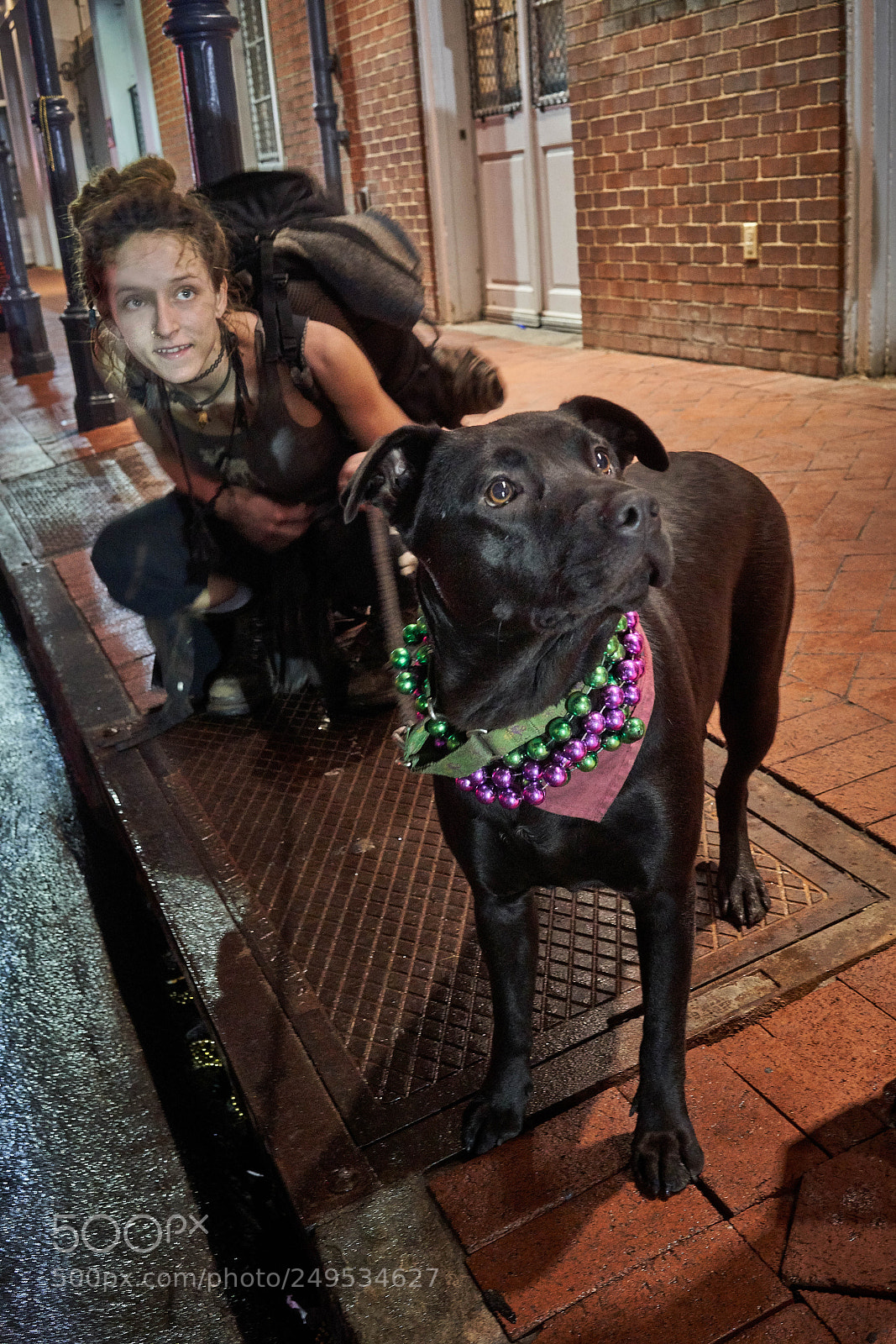 Sony a7R III sample photo. Girl and dog photography