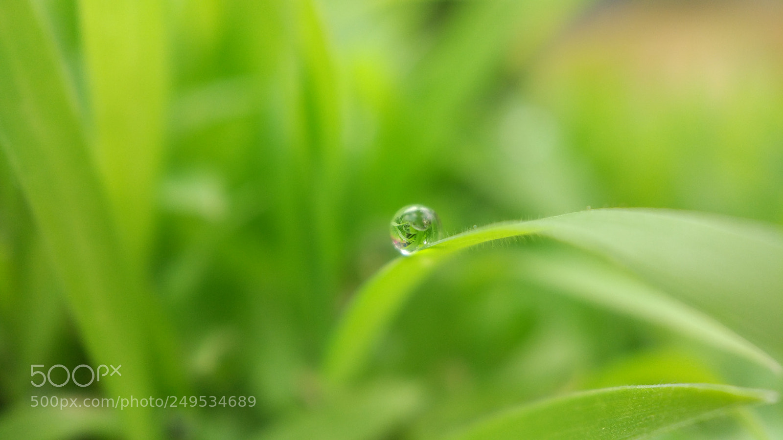 Xiaomi MI 5 sample photo. Water drop mirror photography
