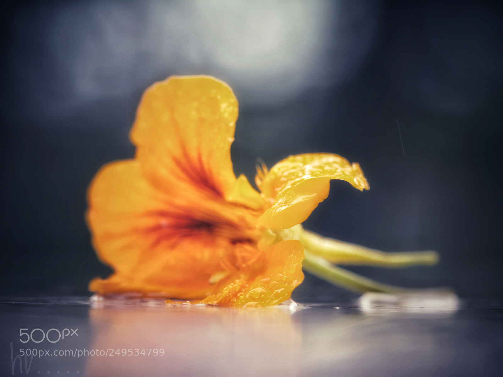 Nikon D7100 sample photo. Faded photography