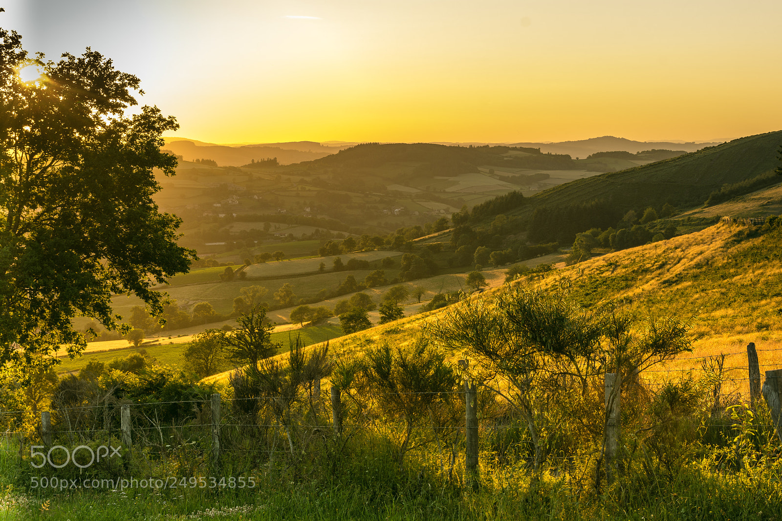 Nikon D7100 sample photo. Morning sun in burgundy photography